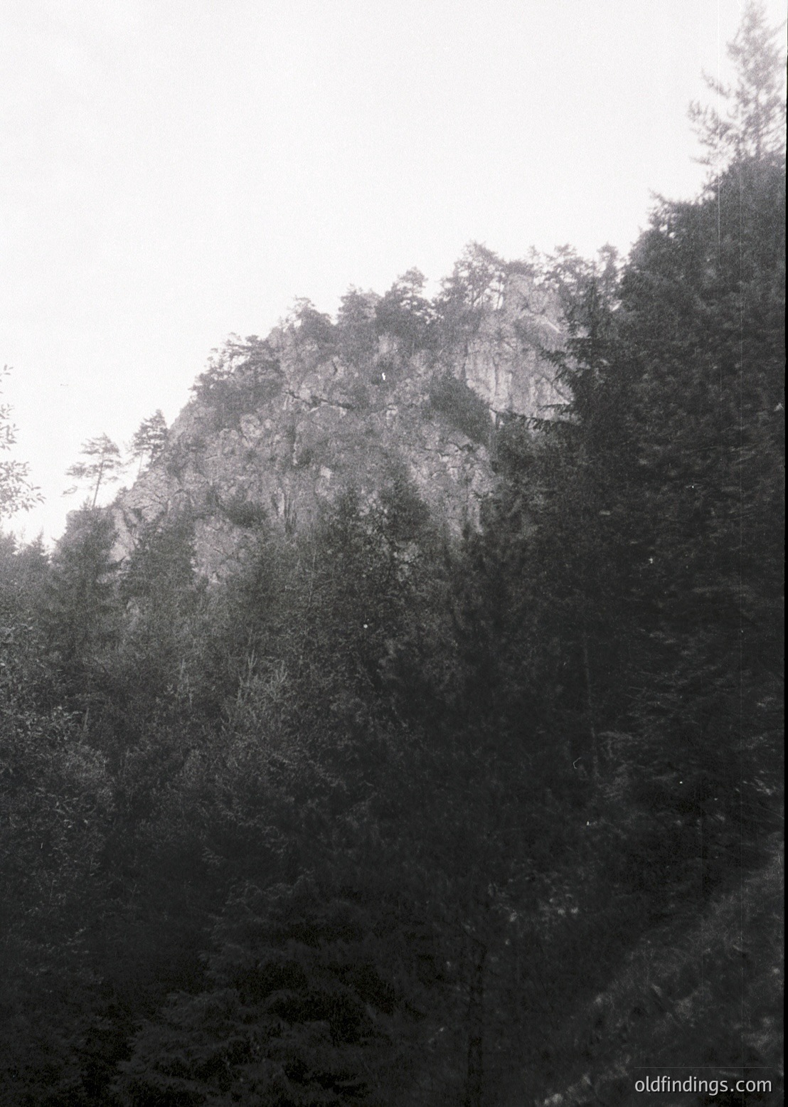 Misty mountain ridge shrouded in dense forest, captured in monochrome. Vertical rock face rises steeply, covered in evergreen foliage. Fog obscures upper terrain, creating atmospheric depth. Likely European alpine or temperate forest region.