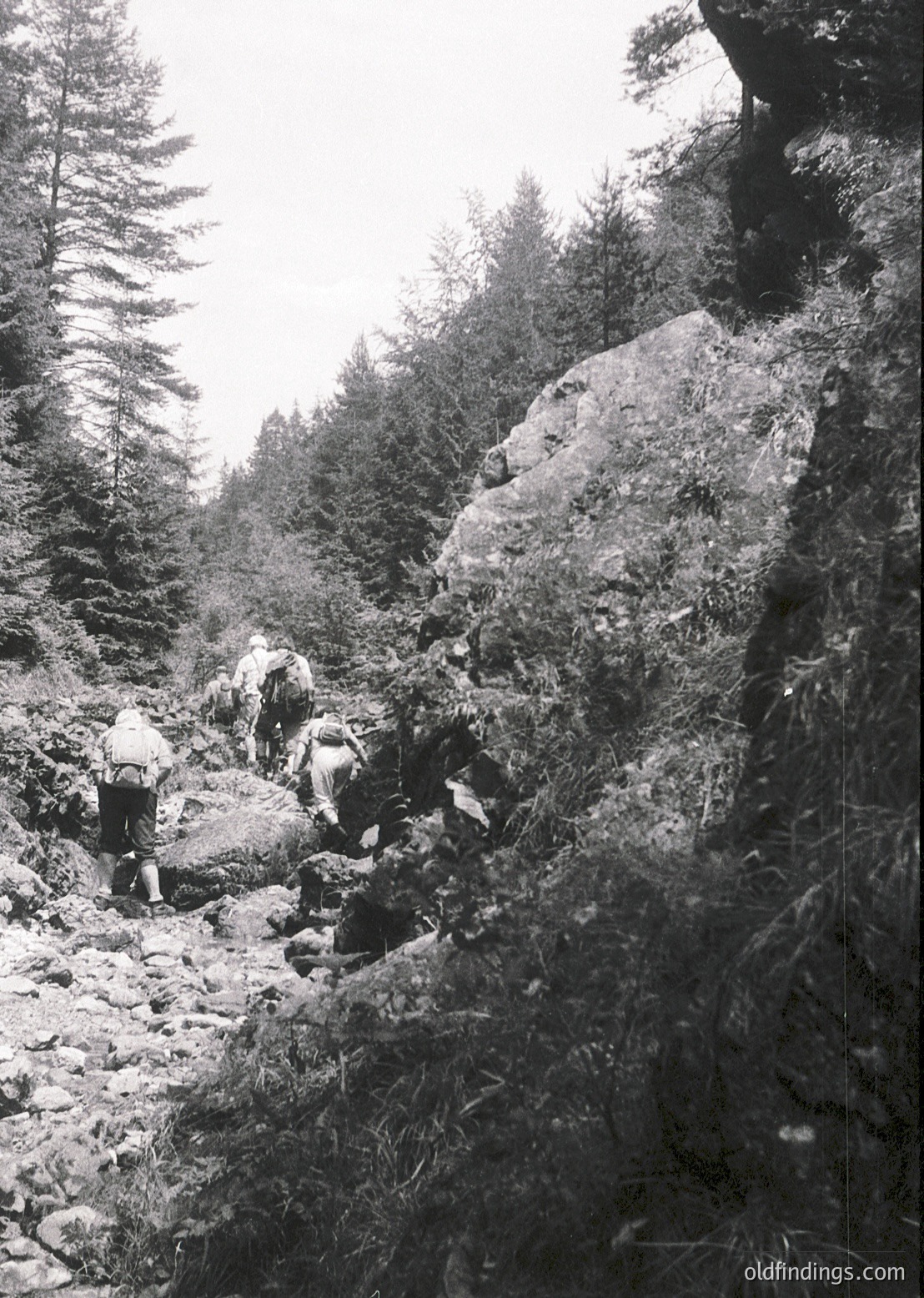 Three hikers navigate a rugged alpine trail flanked by dense coniferous forest and rocky outcrops, mid-20th century. Clothing suggests outdoor recreation or forestry work.