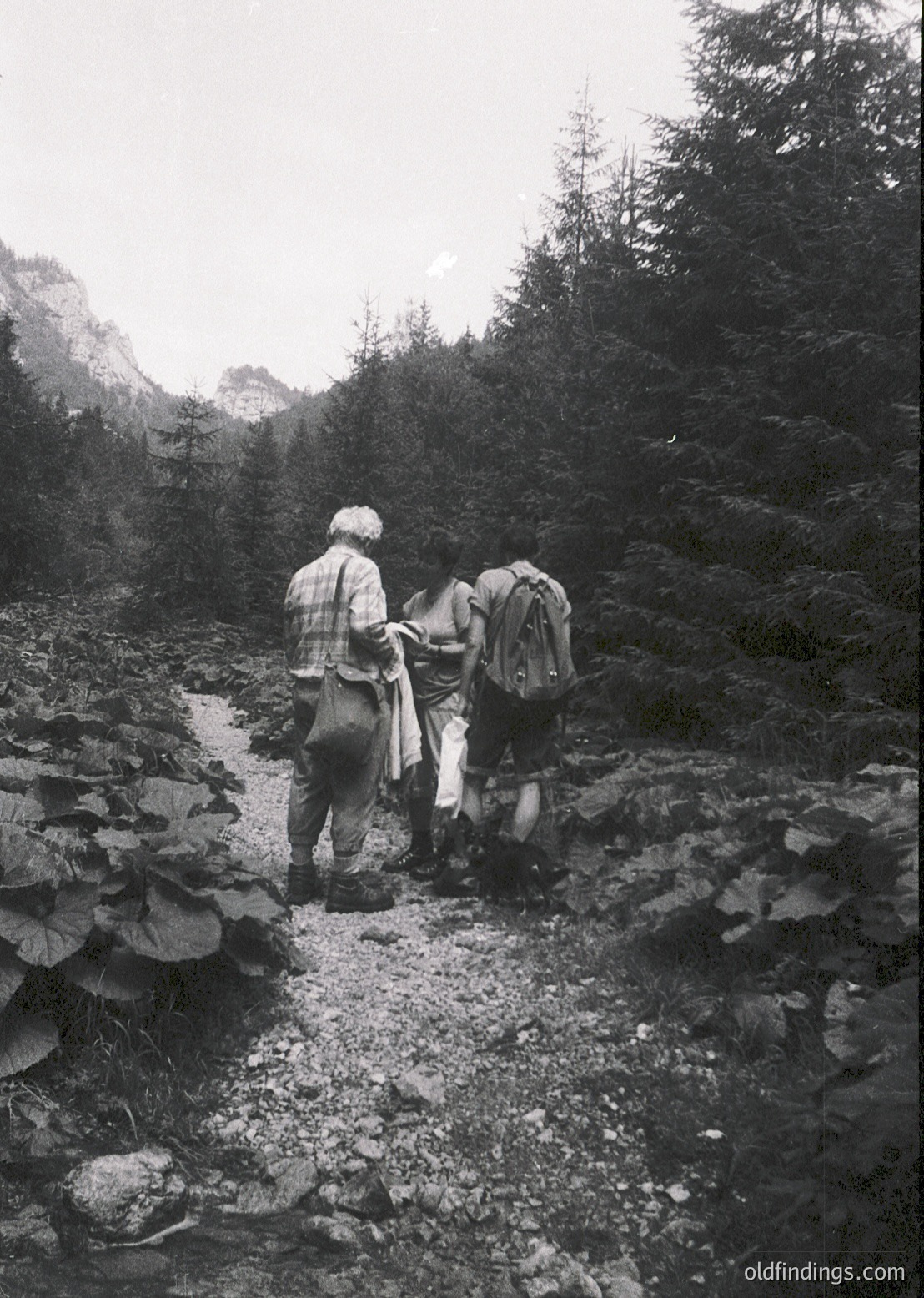 Two hikers in vintage alpine gear traverse a rocky stream crossing, surrounded by dense coniferous forest. Mid-20th century outdoor lifestyle captured.