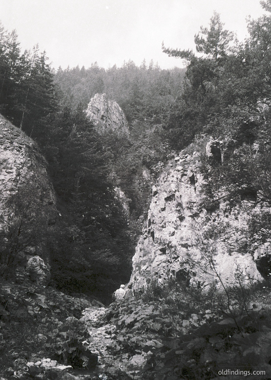 Misty alpine canyon with rugged rock formations and dense coniferous forest. Fog obscures distant treeline, emphasizing dramatic verticality. Likely early 20th-century vintage due to monochrome and grain texture.