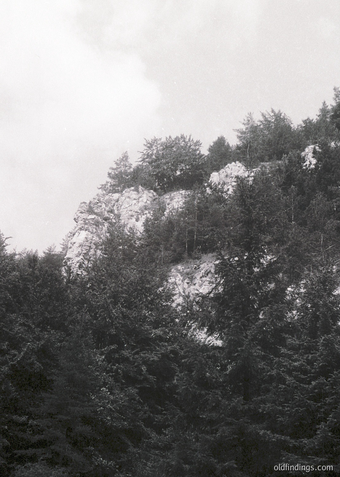 Snow-capped rocky outcrop partially obscured by dense evergreen forest. Dramatic monochrome contrast highlights rugged terrain and winter textures. Ideal for nature, landscape, and environmental studies.