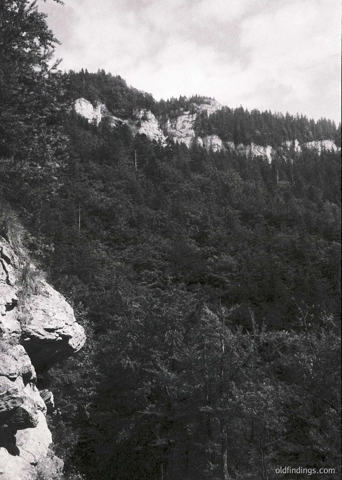 Dramatic monochrome mountain landscape with rugged cliffs and dense coniferous forest. Snow patches highlight elevation contrast under overcast skies.