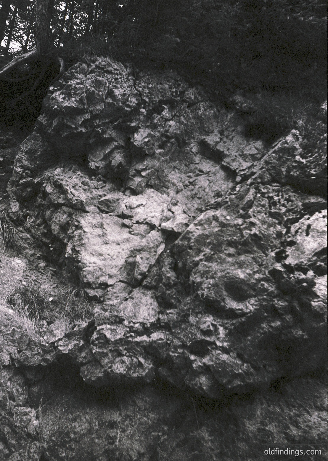 High-contrast black-and-white close-up of rugged, textured rock surface with intricate mineral deposits resembling organic patterns. Likely a cave or geological formation.