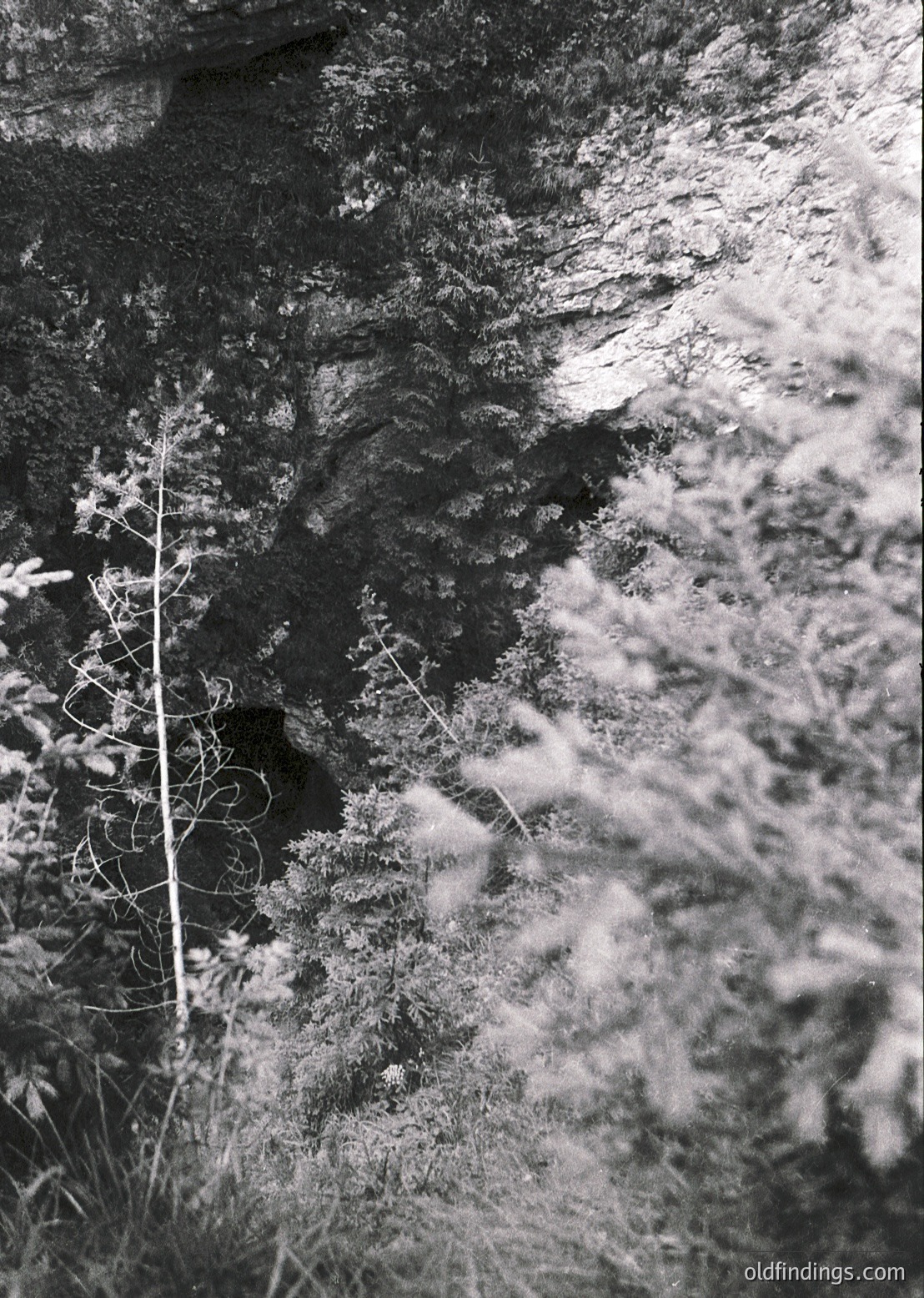 High-contrast black-and-white close-up of rugged rock face with intricate erosion patterns and delicate, leafless branches framing a small, shadowed crevice. Textured surface suggests natural geological formation, possibly limestone or sandstone.