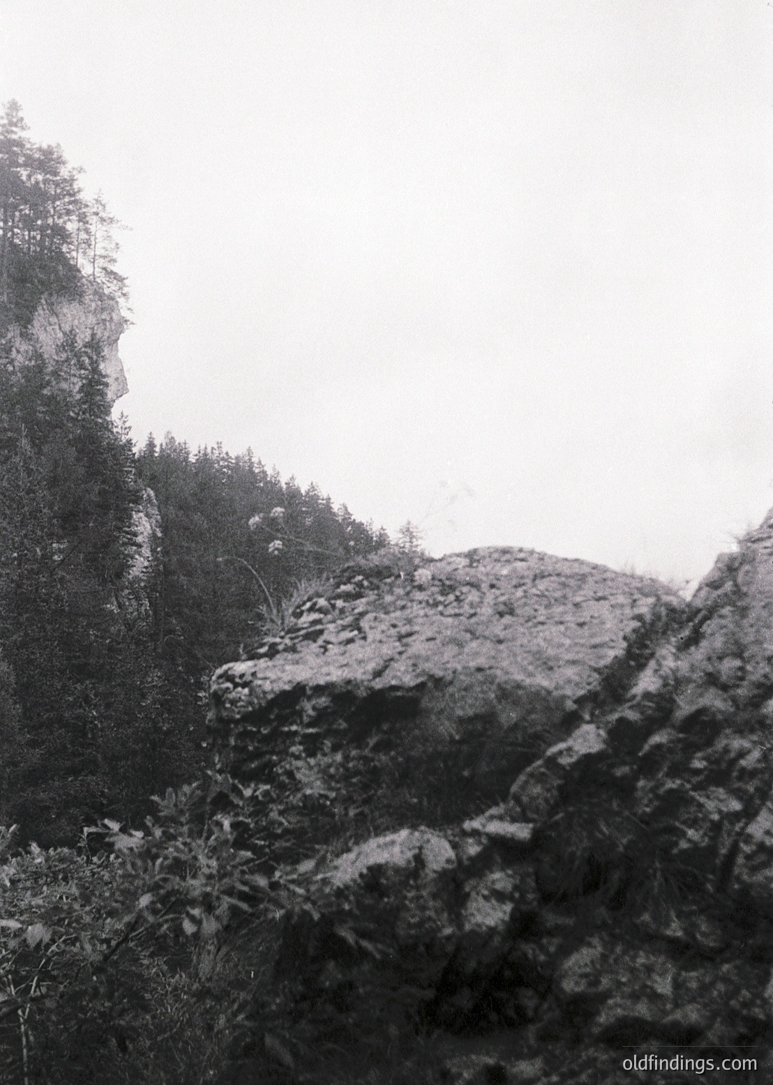 Misty alpine forest scene with rugged rock formations in foreground. Dense coniferous trees frame a hazy, elevated landscape. Likely early 20th-century vintage due to sepia tone and grain.