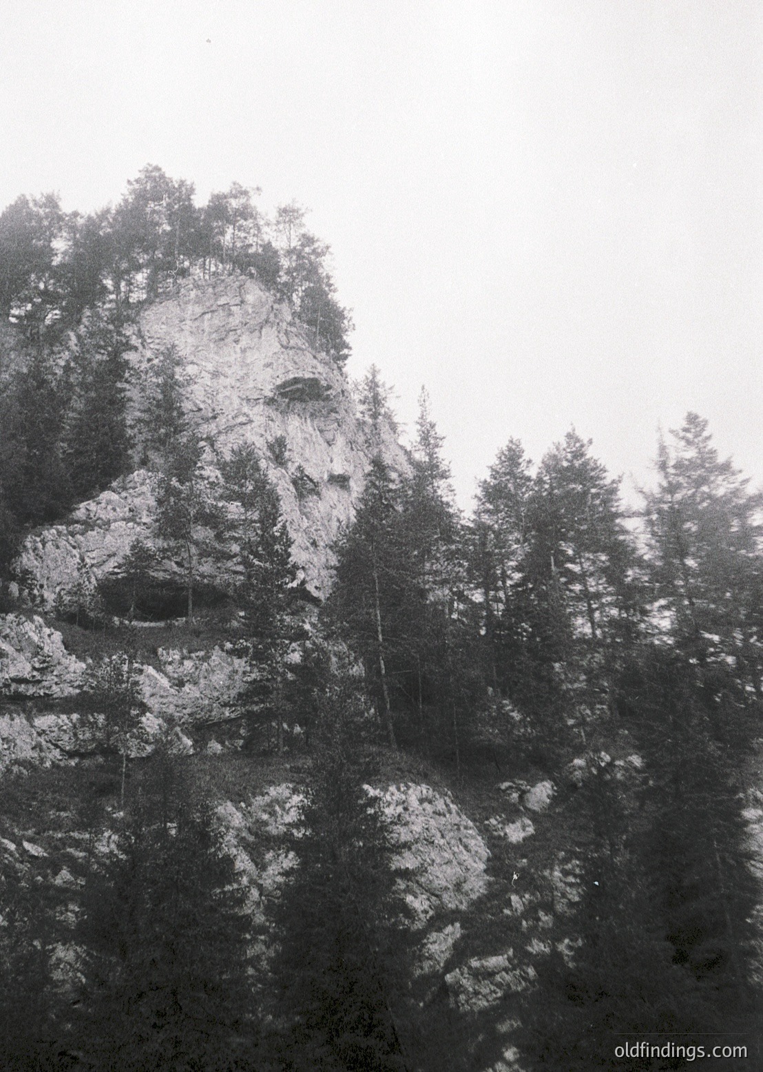 Misty alpine ridge with jagged rock formations and dense coniferous forest. Fog obscures midground, emphasizing rugged terrain. Black-and-white composition highlights texture and scale. *(Note: Time period inferred from style; location indeterminable without context.)*