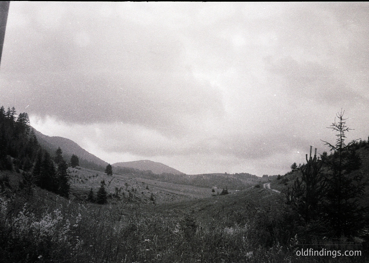 Black-and-white landscape shot of a winding mountain road flanked by dense coniferous forests. Rolling hills and misty valleys stretch into the distance under an overcast sky. Classic mid-20th century travel photography style.