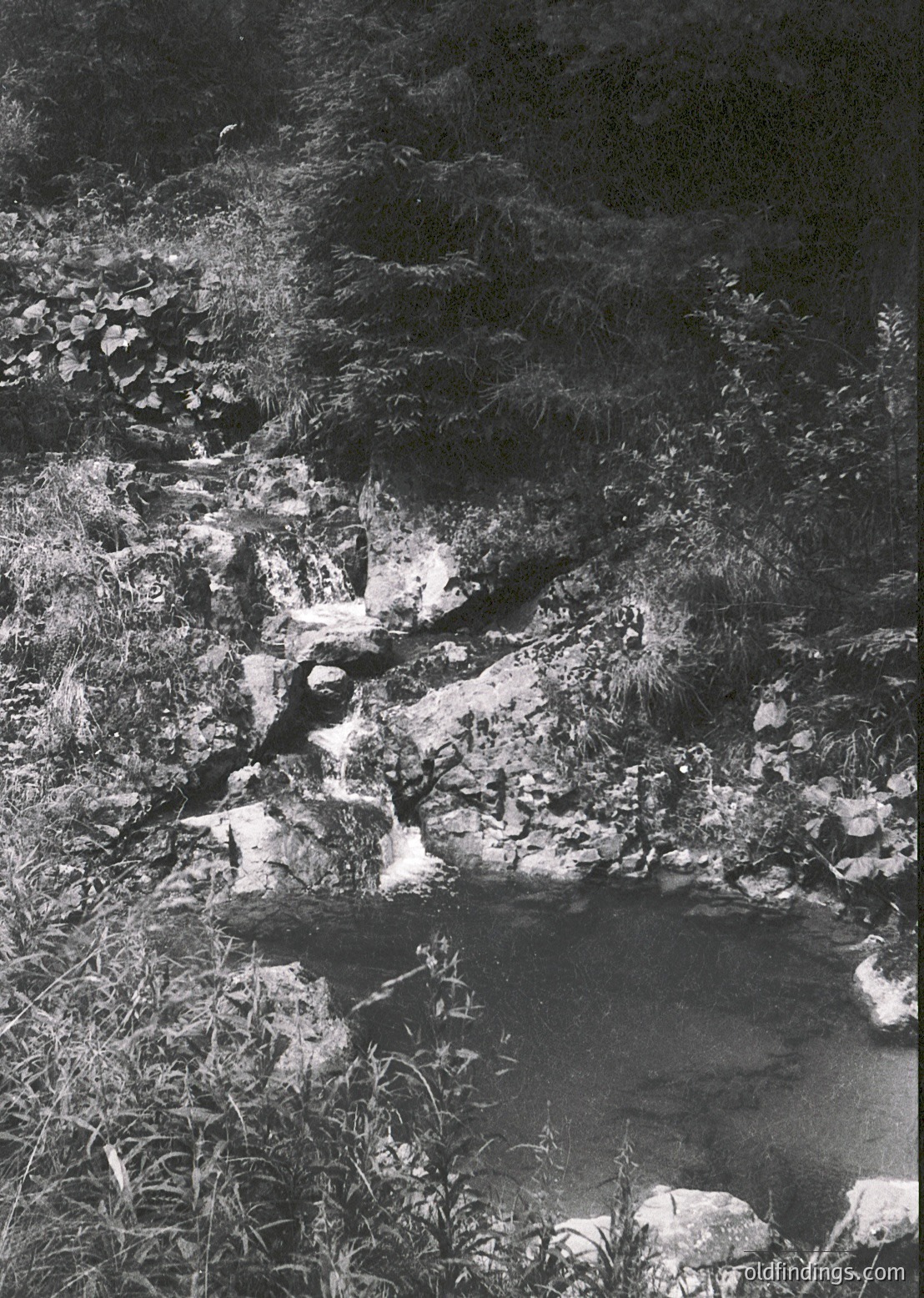 Black-and-white shot of a rocky riverbed with shallow, meandering water. Exposed stones and sparse vegetation frame the stream, suggesting a dry season or seasonal flow. Composition highlights natural textures and light contrast.