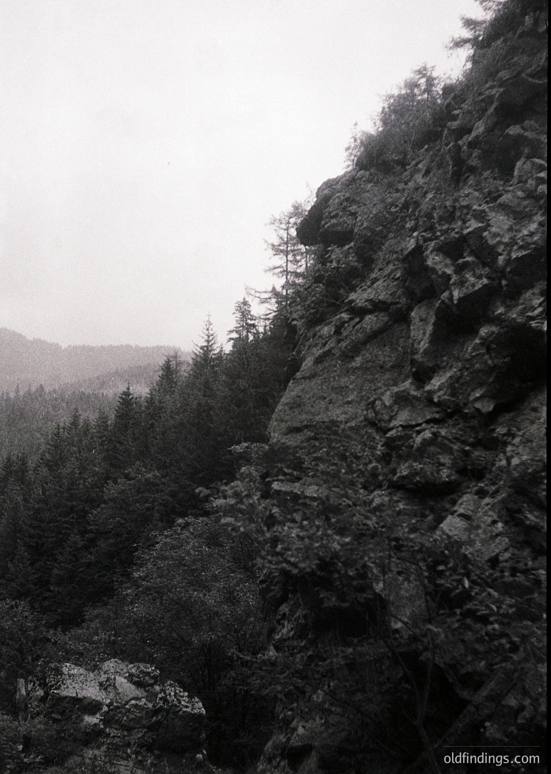 Monochrome mountain landscape featuring jagged rock formations and dense coniferous forest. Dramatic vertical cliffs dominate the scene, with mist or low clouds partially obscuring the upper ridge.