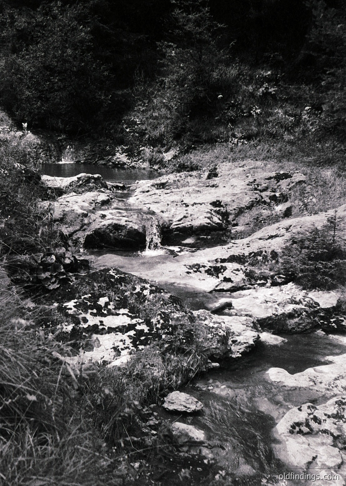 High-contrast black-and-white shot of a rocky mountain stream with cascading waterfalls and moss-covered boulders. Dense forest framing both sides. Likely alpine or highland terrain, mid-20th century photographic style.