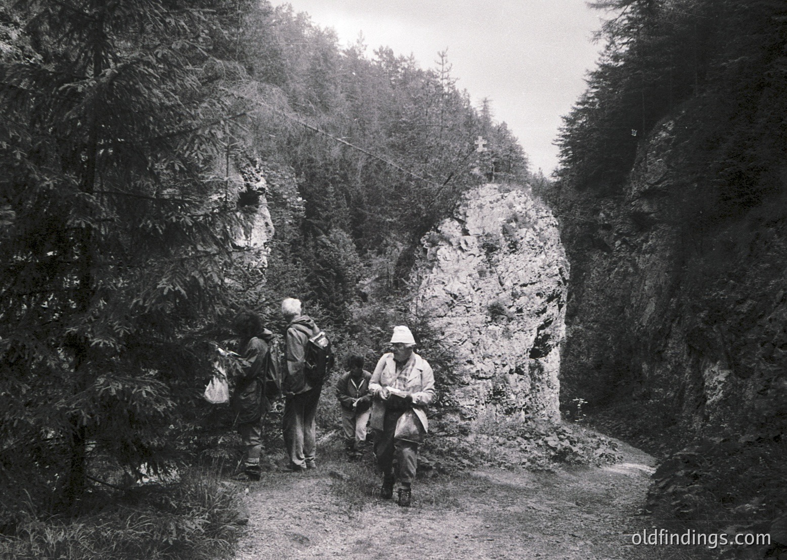 Mid-20th century hikers pause on a rugged forest trail, surrounded by dense conifers and rocky outcrops. One sits on a rock, while others stand with backpacks, suggesting a leisurely mountain excursion.