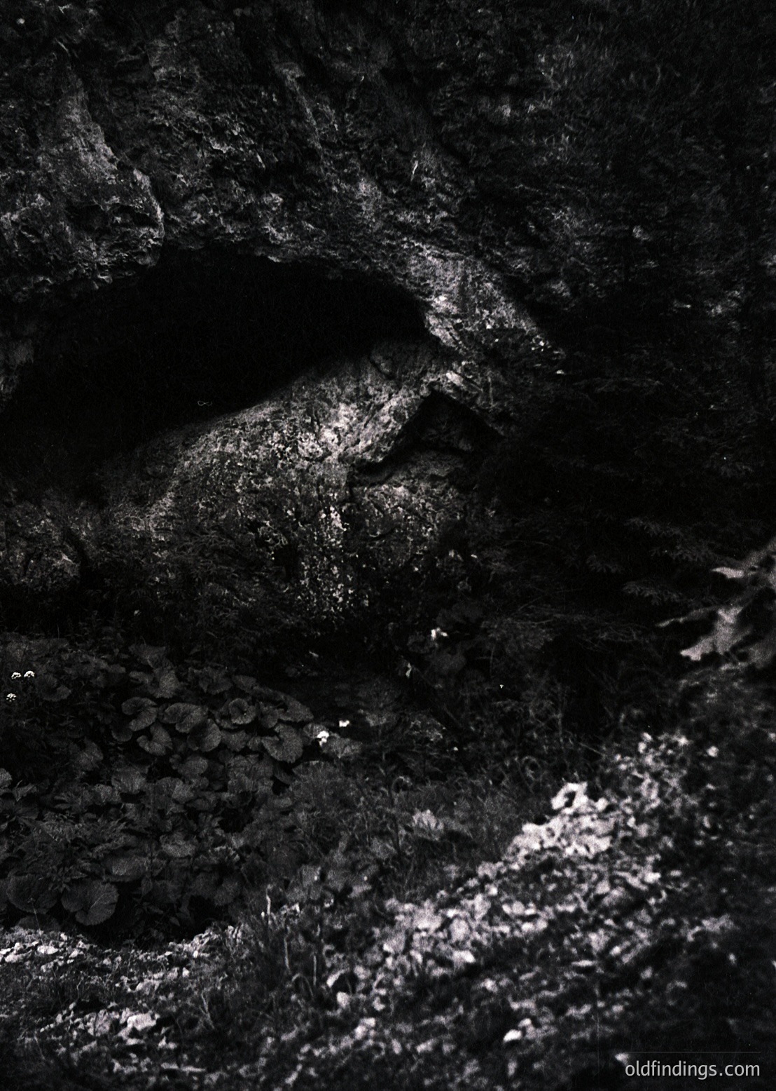 High-contrast black-and-white shot of a rugged, sunlit cave entrance with textured rock walls and floor. Light streams in from above, illuminating patches of moss and small plants. Dramatic play of light/shadow enhances depth. Potential for moody, atmospheric photography or geological studies.