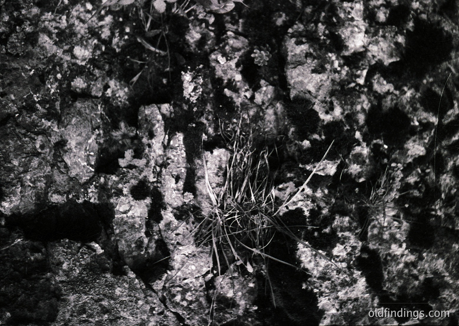 Close-up of weathered concrete surface with exposed aggregate, showcasing rough texture and cracked patterns. Dry grass sprouts through a central fissure, suggesting neglect or abandonment. High-contrast black-and-white composition highlights architectural decay.