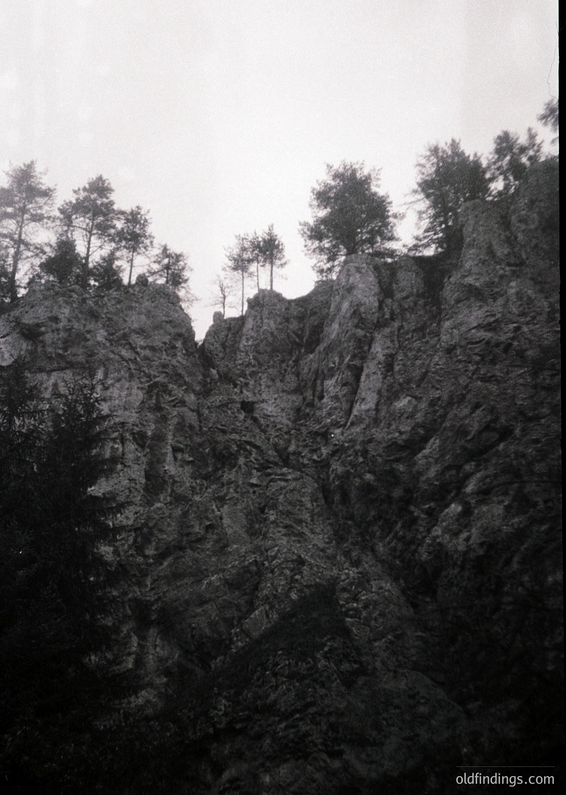 Dramatic black-and-white cliffside with sparse pine trees clinging to jagged rock formations under overcast skies. Likely a European alpine or mountainous region, possibly or early century based on monochrome style.