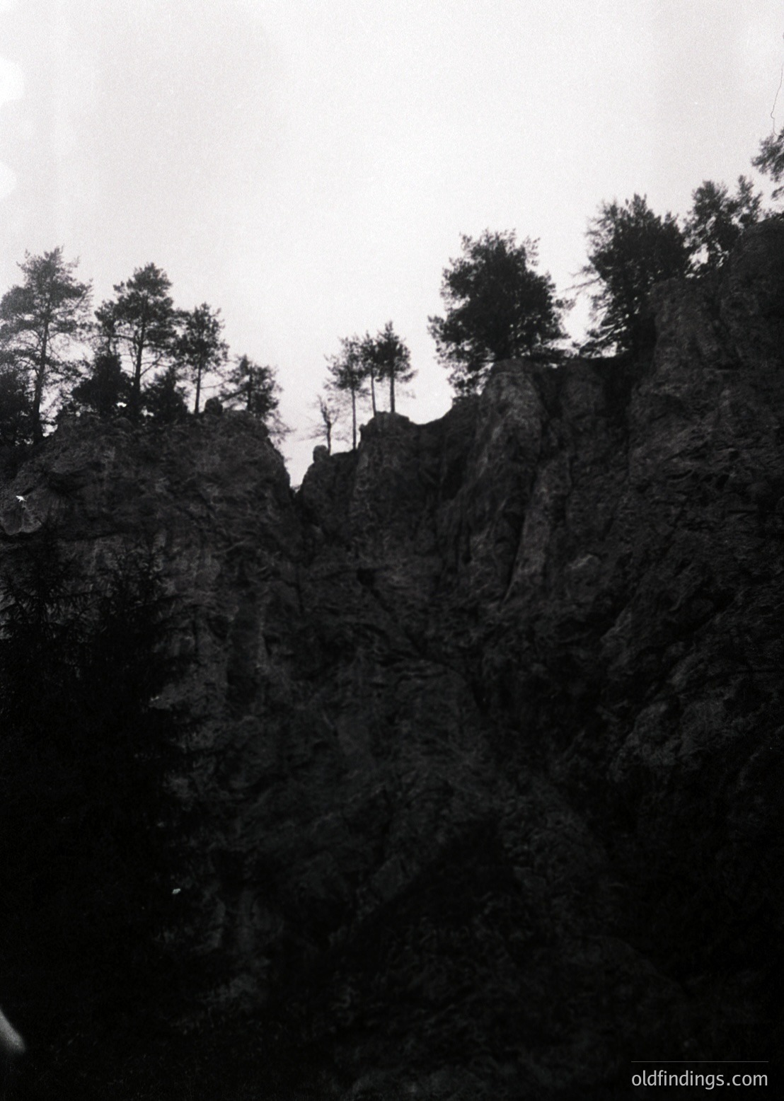 Monochrome landscape of rugged cliffs with sparse pine trees clinging to rocky edges. Dramatic vertical composition highlights natural erosion and stark contrast. Potential or terrain.