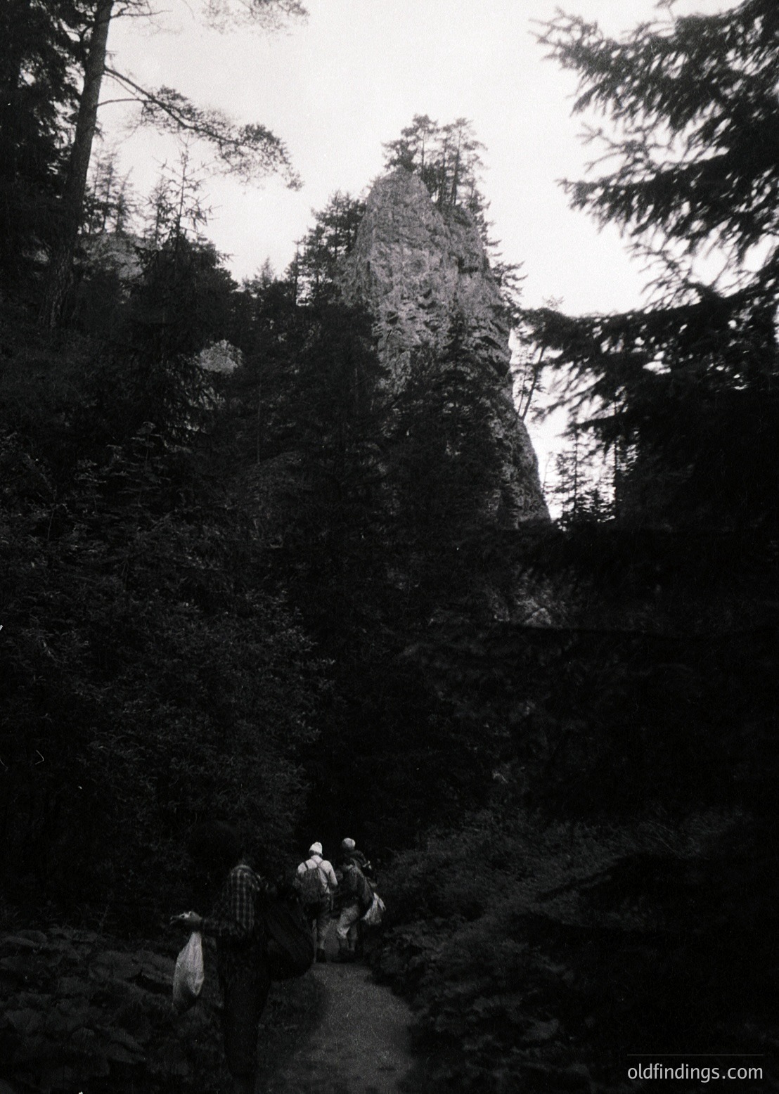 Black-and-white mountain trail scene with three hikers ascending a rocky path flanked by dense coniferous forest. Dramatic rock formation rises sharply in background. Mid-20th century gear suggests vintage hiking culture.