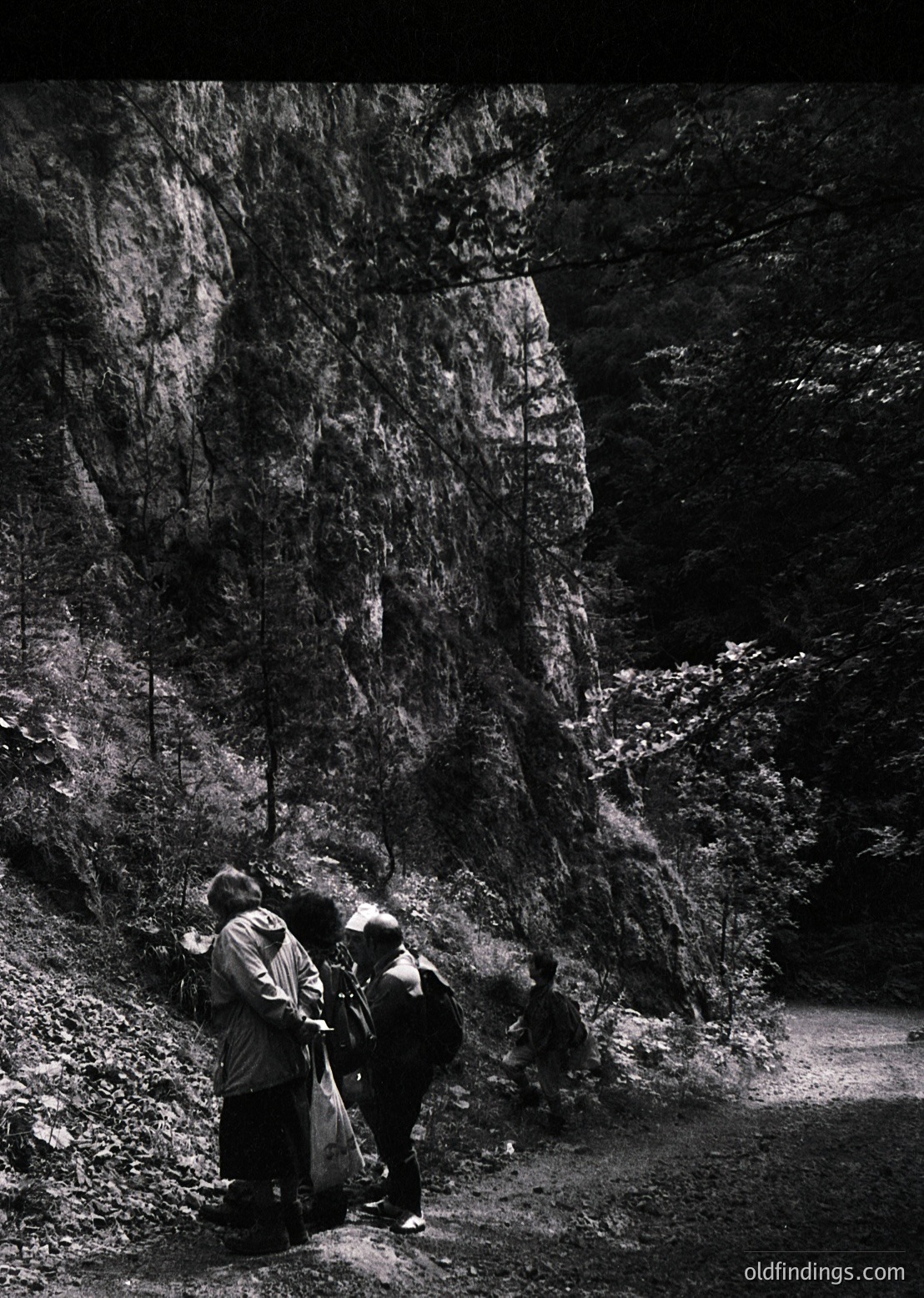 Four hikers in outdoor gear examine a rock formation in a rugged, forested area. The dramatic vertical rock face suggests a mountainous or canyon setting. Mid-20th century clothing hints at a vintage hiking scene. [Vintage hikers exploring rugged rock formations in forested mountainous terrain. ]