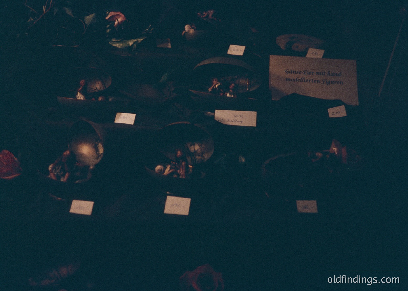 Vintage anatomical models of animal skulls and skeletal figures displayed on a dark table, likely for educational or museum use. Labels in German indicate species and anatomical features.