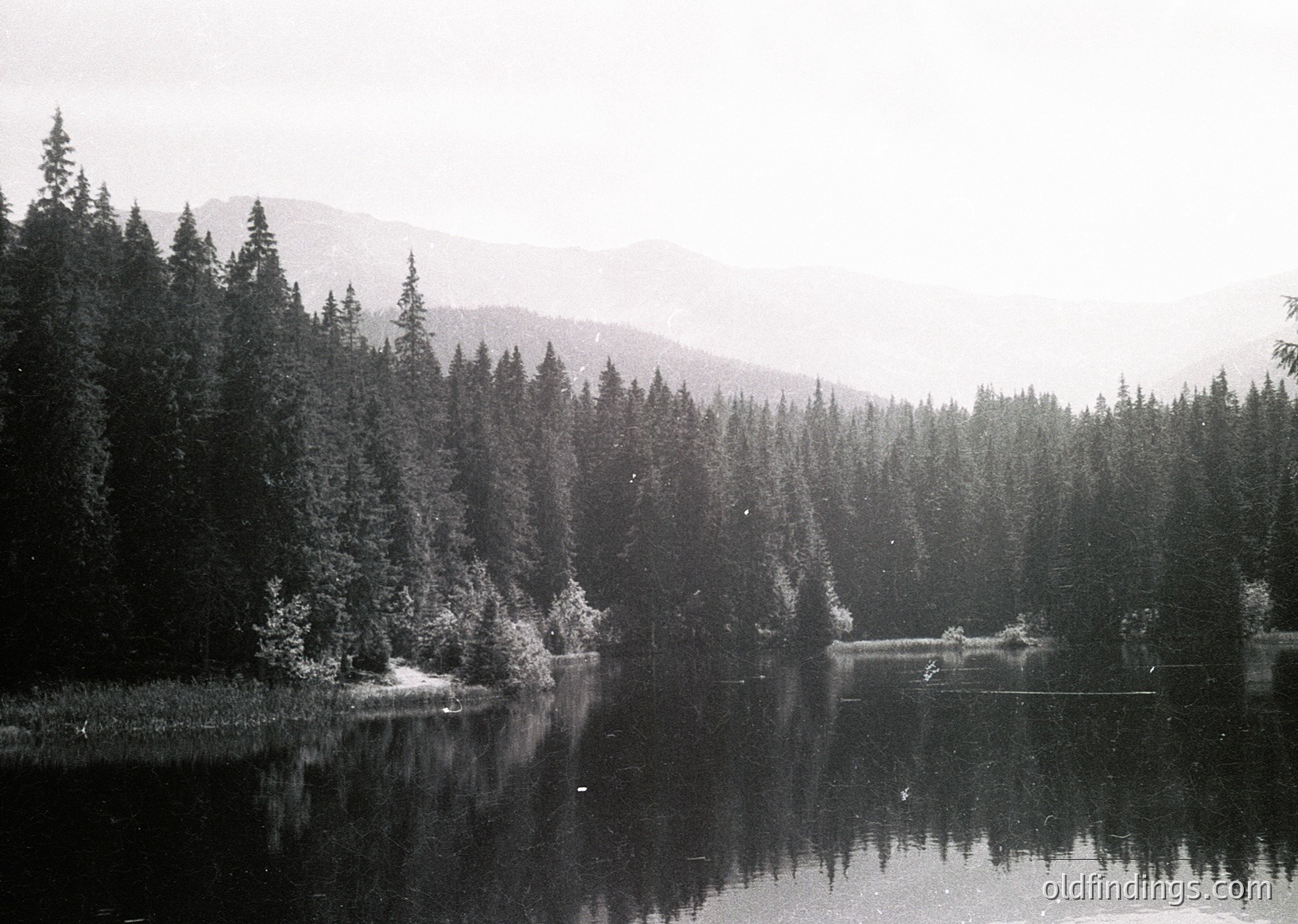 Black-and-white landscape of a serene alpine lake surrounded by dense coniferous forest. Snow-capped peaks rise in the misty background, enhancing the tranquil, timeless atmosphere. Reflections in calm waters suggest early 20th-century photographic techniques.