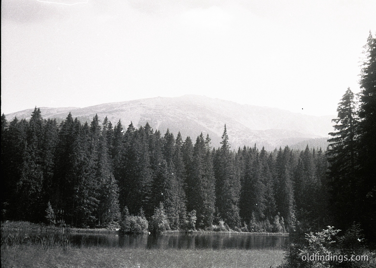 Dense coniferous forest framing a serene, reflective lake with misty mountain peaks in background. Classic mid-20th century black-and-white landscape photography.