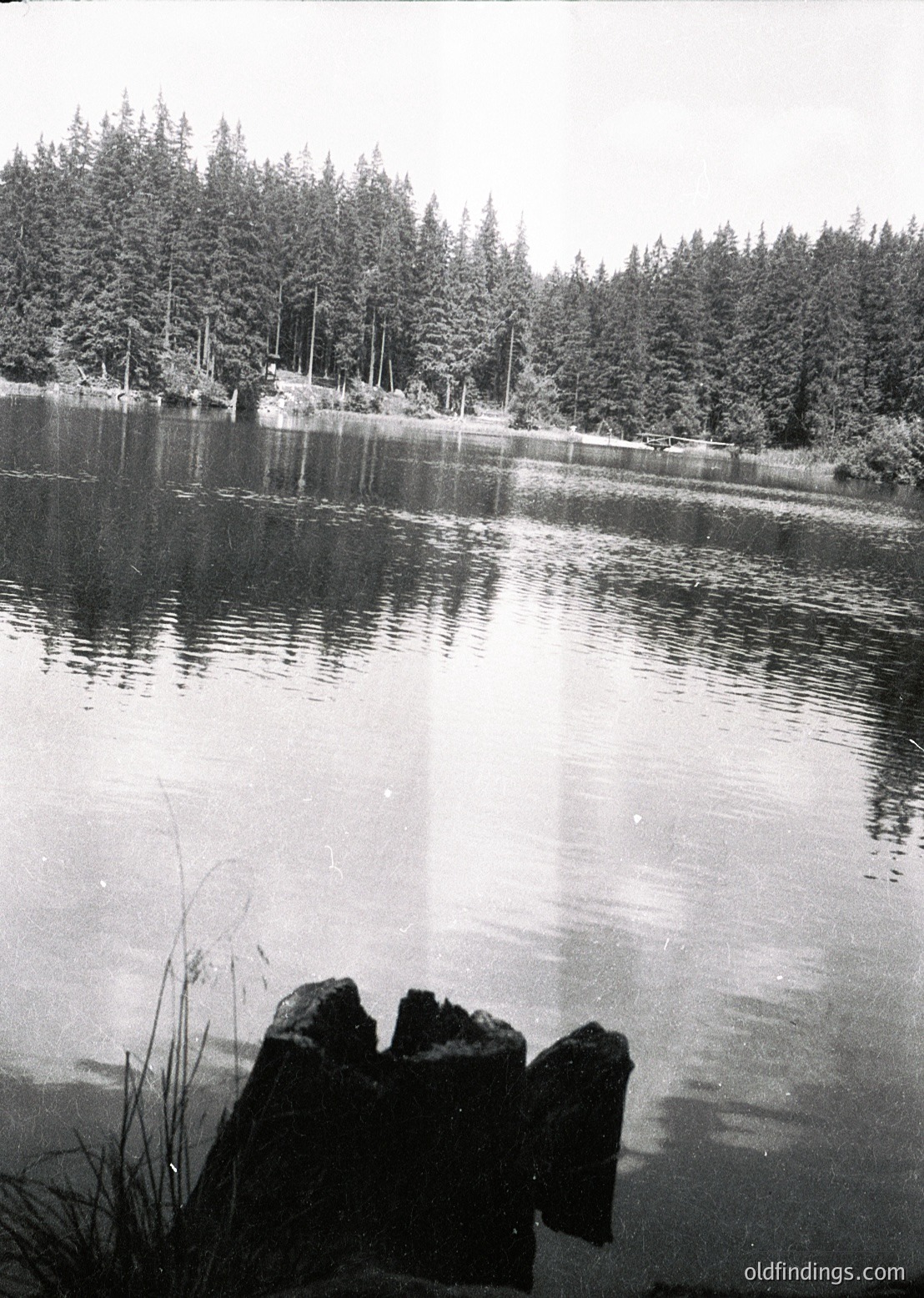 Black-and-white lakeside scene with dense coniferous forest framing the horizon. Foreground features weathered logs protruding from calm water, reflecting muted light. Likely mid-20th century due to monochrome and composition style.
