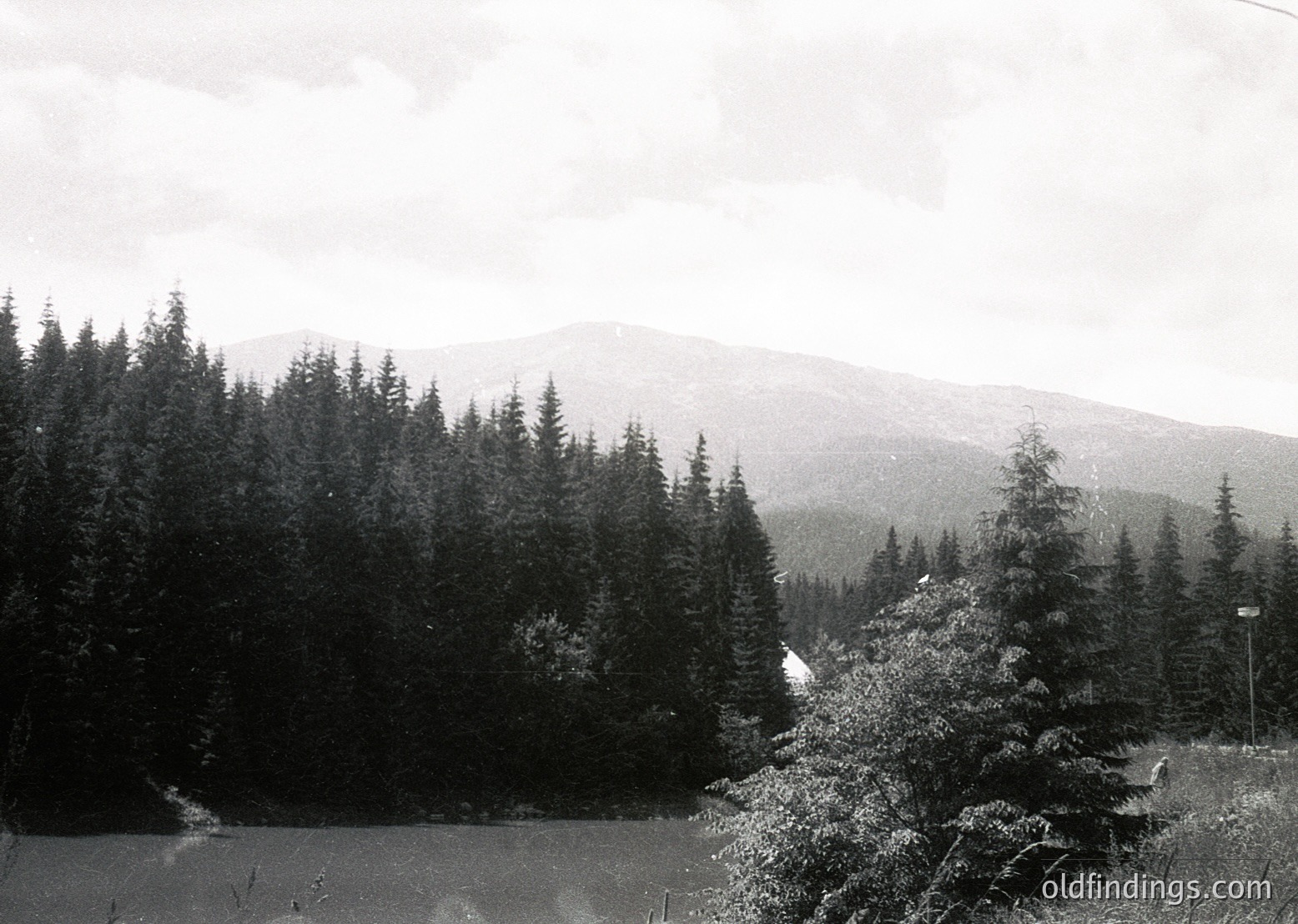 Black-and-white landscape featuring dense coniferous forest framing a serene lake, with misty mountain peaks in the background. Likely European alpine region, mid-20th century.