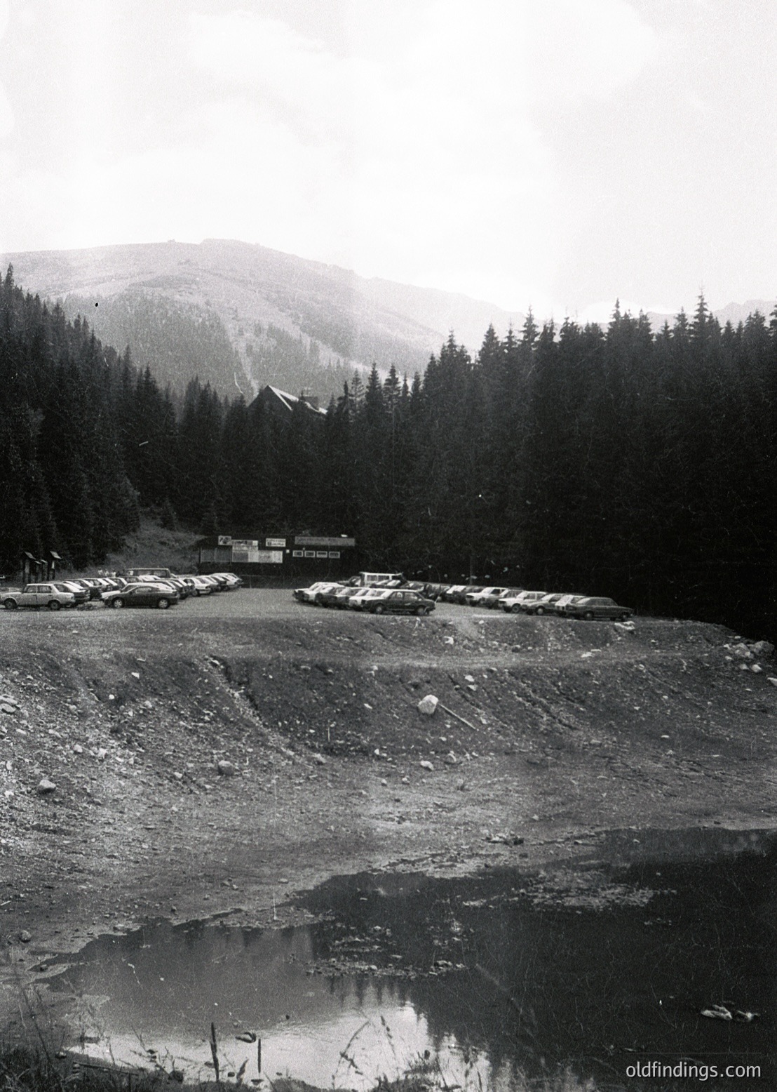 Vintage alpine roadside rest stop with vintage cars parked in a gravel lot, surrounded by dense coniferous forest. Small signage and a rustic shelter hint at mid-20th-century mountain travel. Muddy puddle reflects overcast skies and trees.