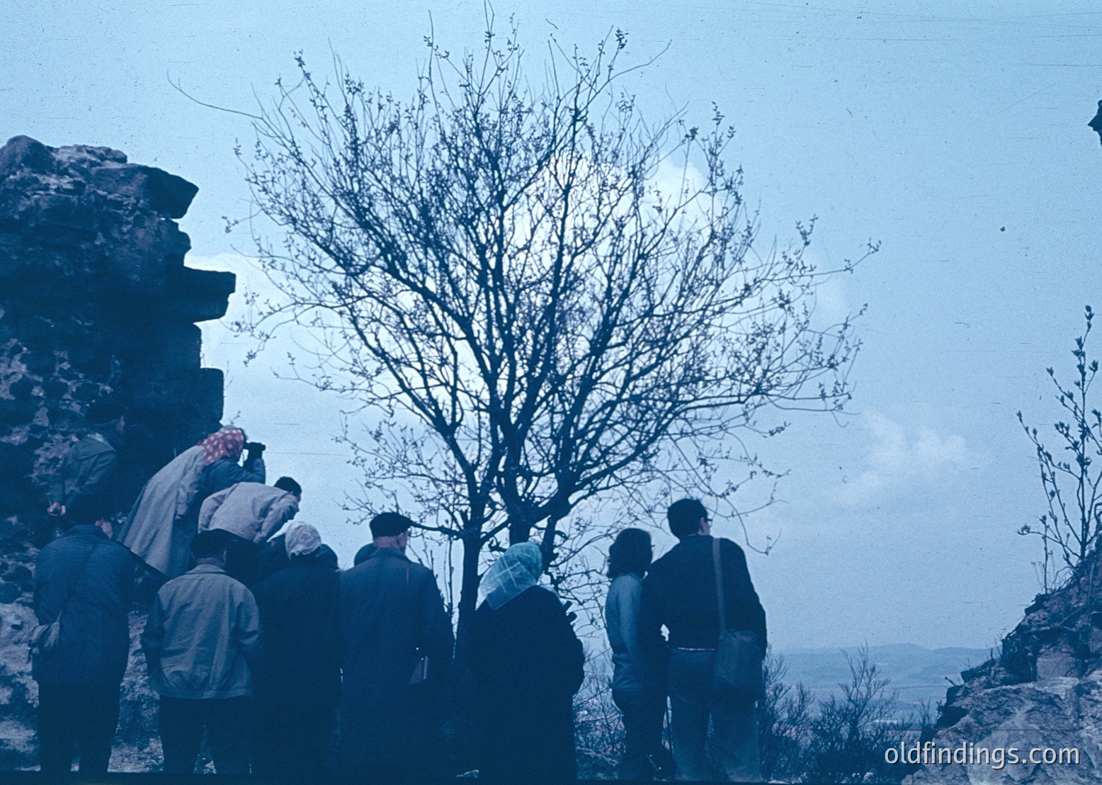 Group of 12+ individuals in winter attire (scarves, coats) gathered on rocky terrain, overlooking a distant landscape. Leafless tree in foreground suggests late autumn/winter. Sepia-toned, likely 1960s–1980s.