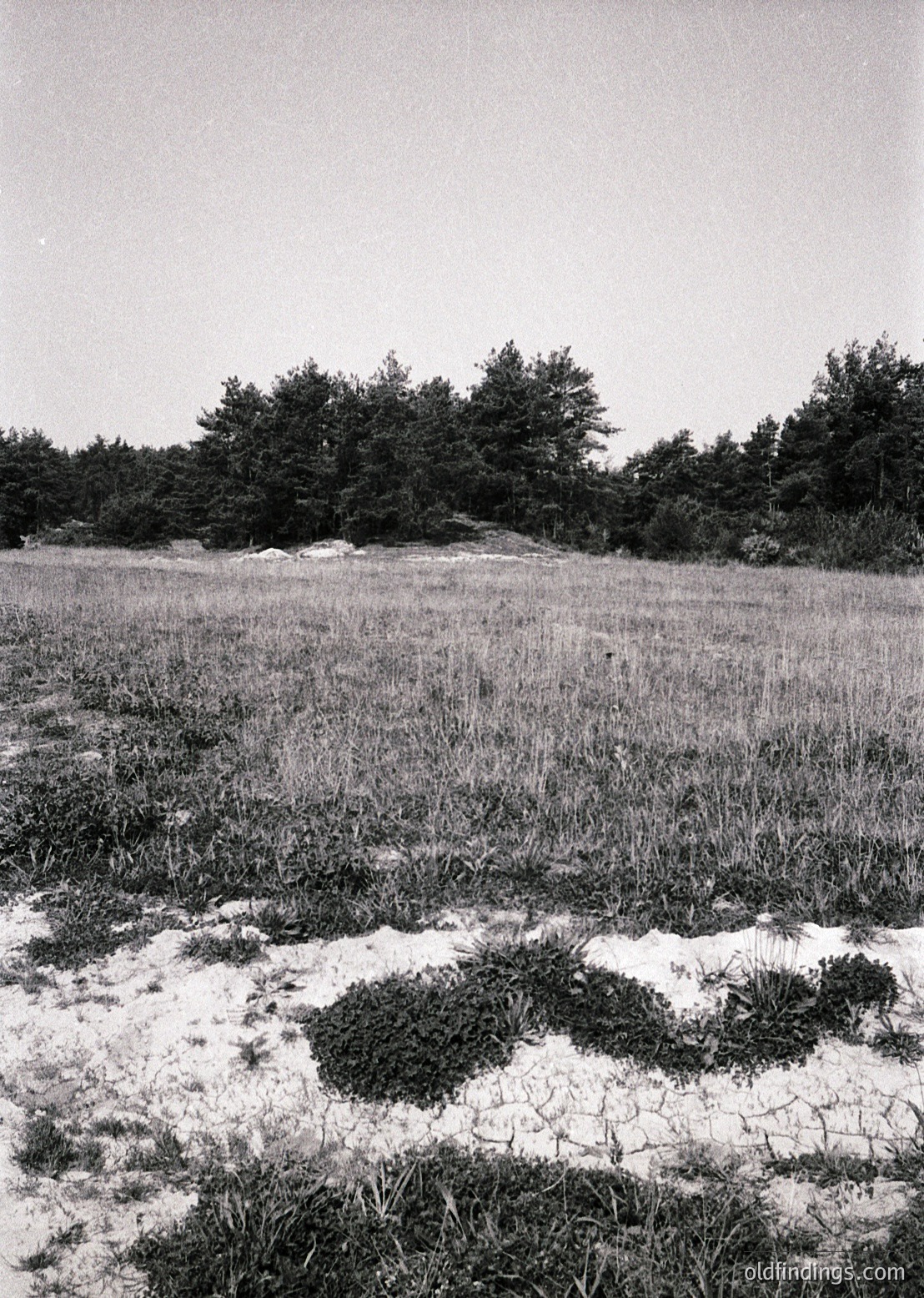 Abandoned concrete foundations in overgrown field, likely remnants of a mid-20th century structure. Circular and rectangular outlines suggest former rooms or buildings. Dense forest in background indicates rural or suburban setting.