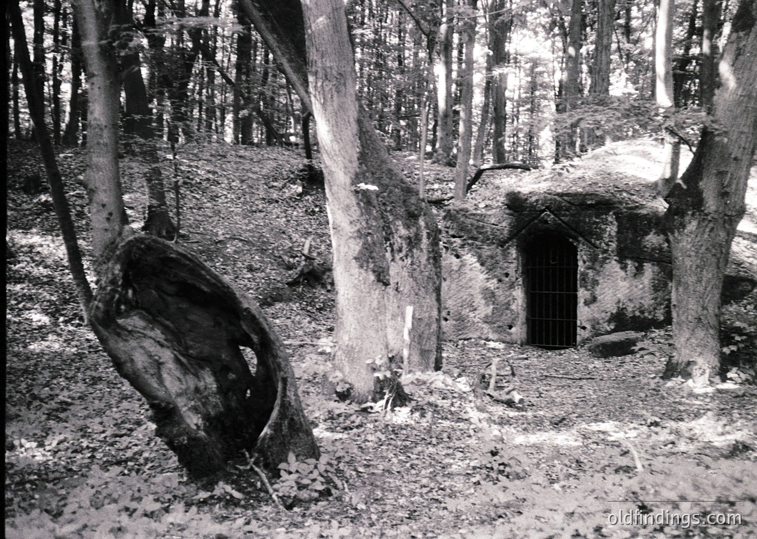 A weathered stone structure partially buried in a dense forest, surrounded by fallen logs and debris. Likely a WWII-era bunker or shelter, evidenced by reinforced concrete and rusted metal door. Dense forest canopy suggests a European woodland setting, possibly Eastern Bloc region. Black-and-white suggests vintage or archival origin.