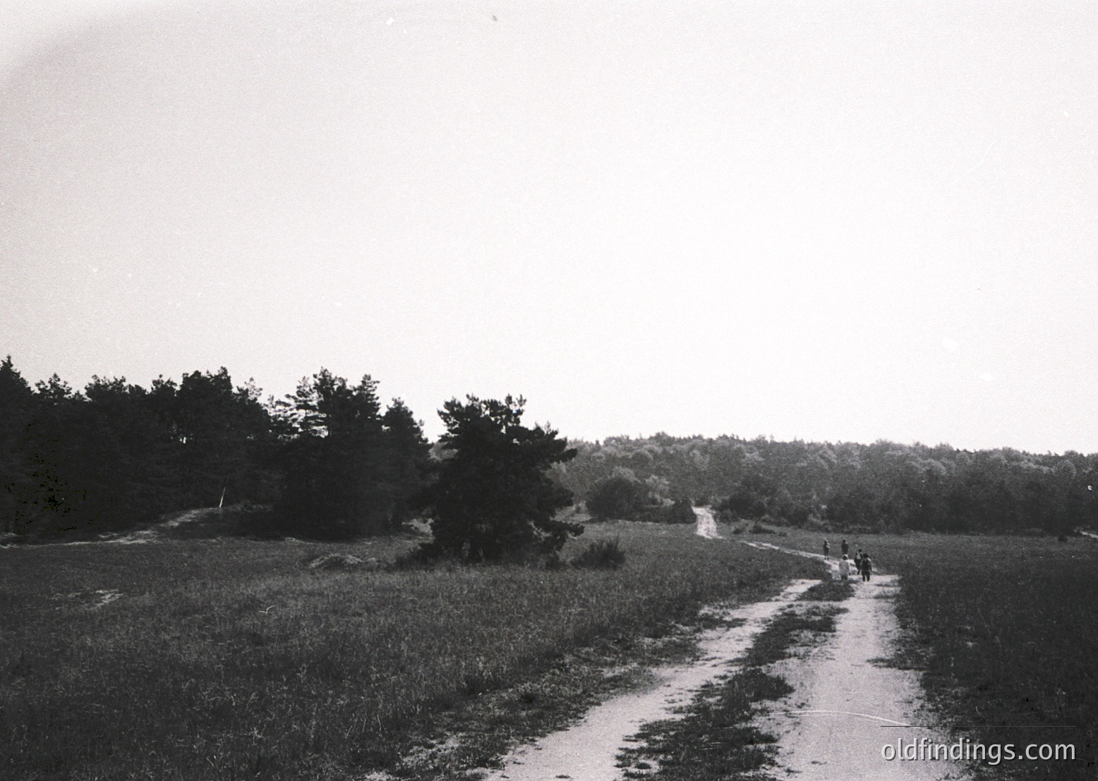 Black-and-white rural road winding through open grassland, flanked by dense tree lines. Two figures walking away from camera, silhouetted against horizon. Mid-20th century farmland or countryside setting.