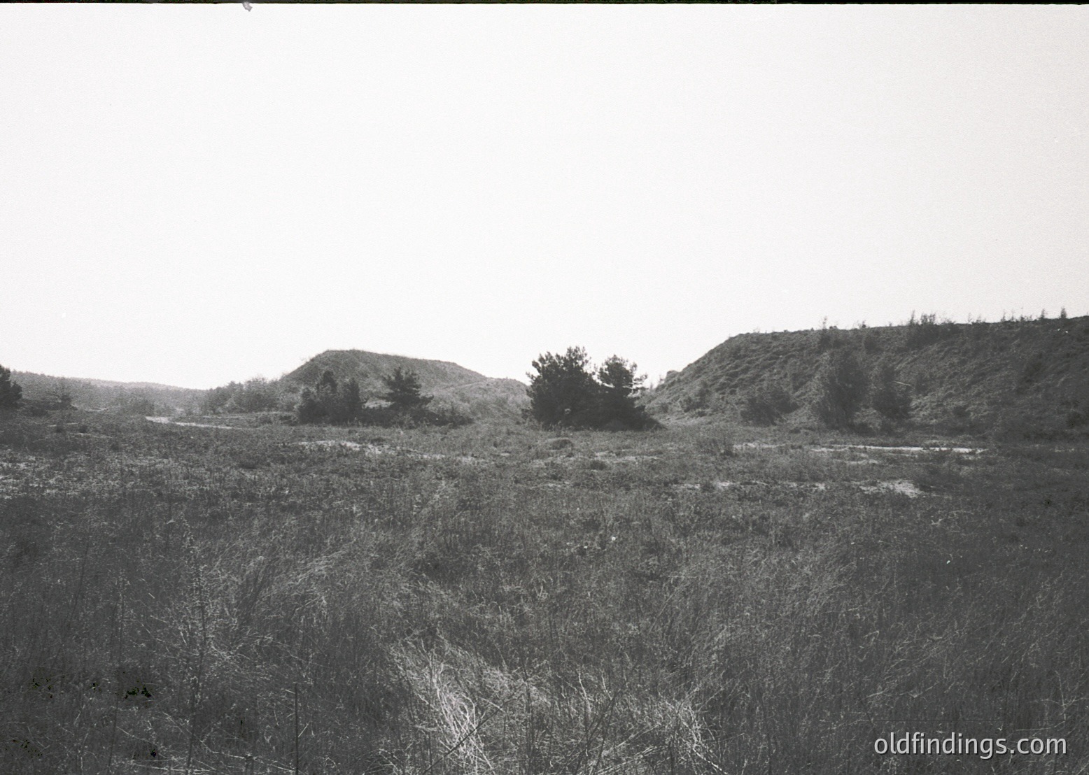 Barren, undulating grassland with sparse shrubs and rocky outcrops under overcast skies. Likely early-to-mid 20th century based on monochrome and grain texture.