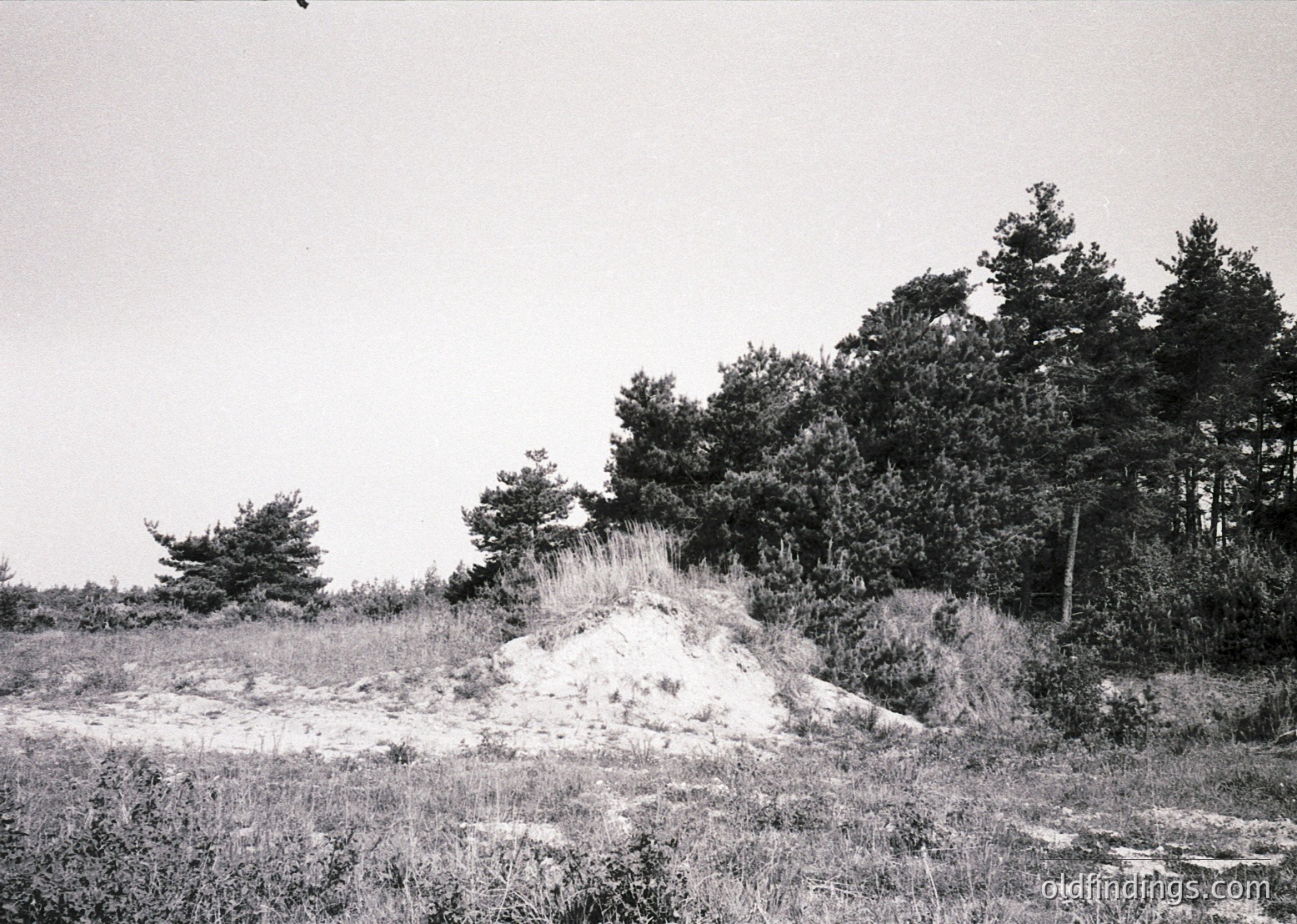 Abandoned concrete bunker half-buried in overgrown grass, surrounded by dense forest. Likely Cold War-era military structure.