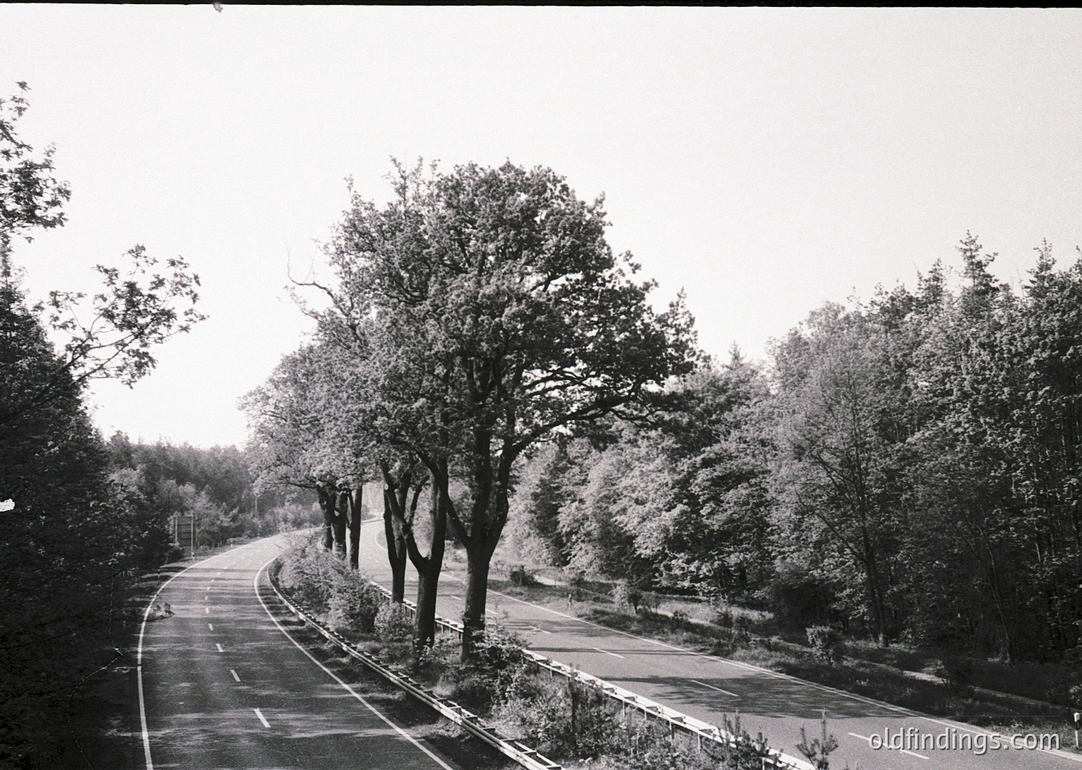 Black-and-white rural road flanked by mature trees and dense foliage, likely mid-20th century. Asphalt surface with faint centerline, bordered by low fencing and overgrown shrubs. Overcast sky enhances vintage atmosphere.