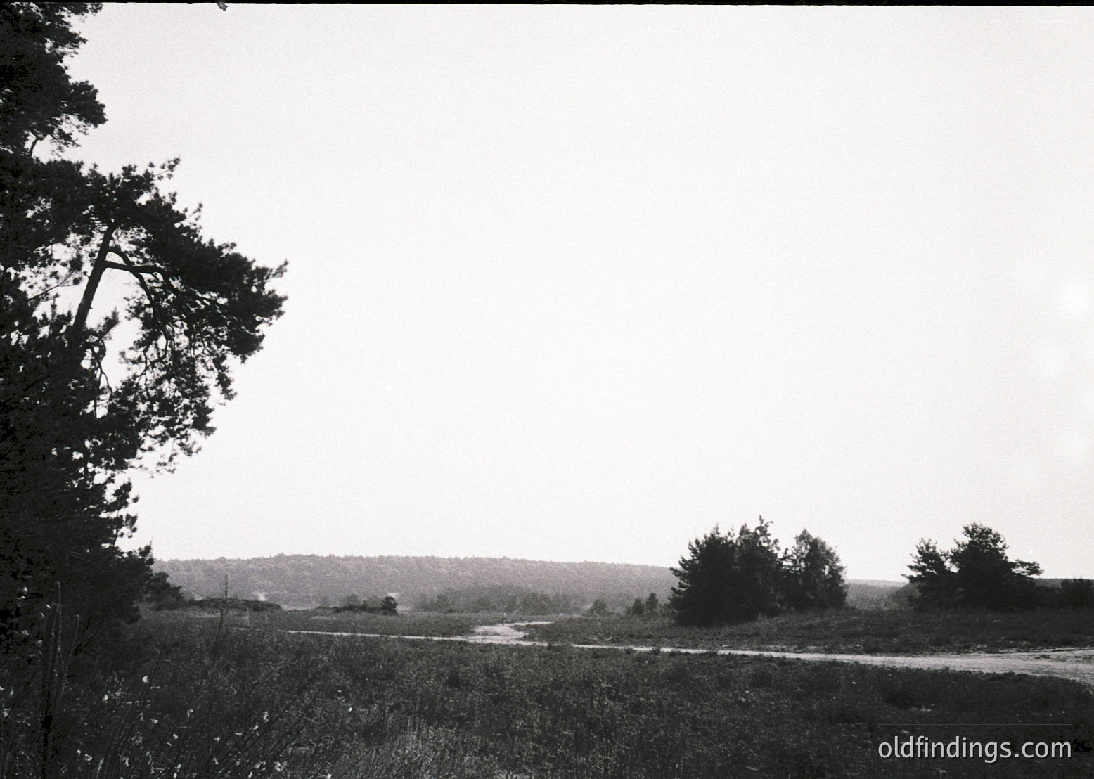 Black-and-white rural landscape featuring a winding dirt road flanked by low brush and scattered trees. Rolling hills and open fields dominate the mid-ground, with a lone structure visible in the distance. Early 20th-century farming or countryside scene.