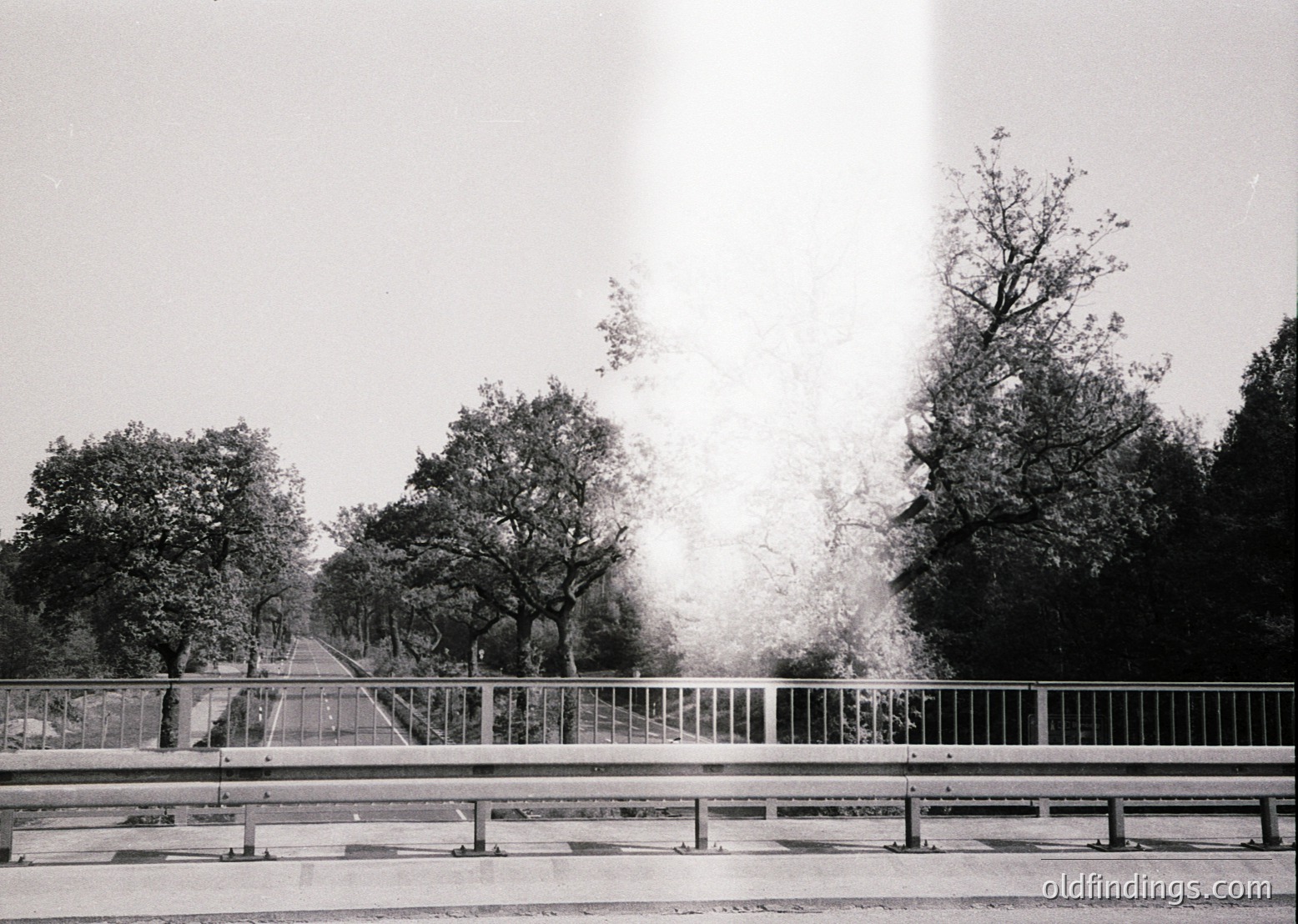 Mid-century modern bridge with sleek metal railings and concrete supports, framed by dense forest foliage. Fog or mist obscures distant path, suggesting early morning or overcast conditions. Architectural detail hints at 1950s–1960s design.