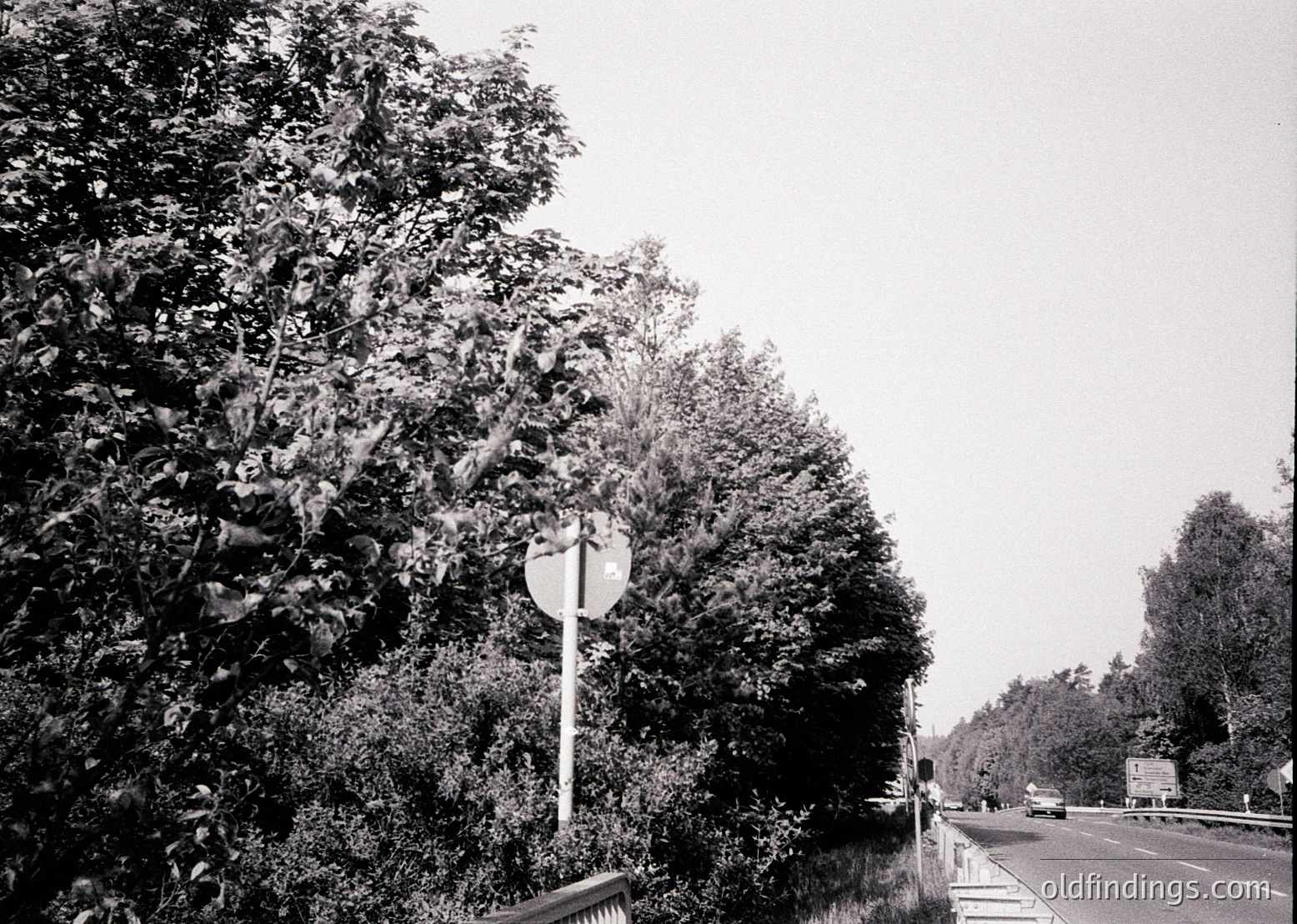 Black-and-white roadside scene featuring dense foliage framing a two-lane highway. Circular road sign with arrow pointing left, likely indicating a turn or detour. Guardrail along the right side of the road, suggesting a drop-off or embankment. Overcast sky and minimal traffic.