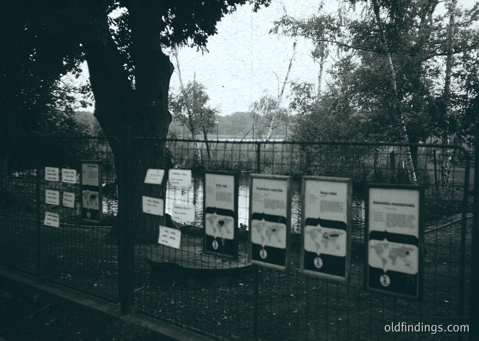 Black-and-white display panels in a fenced outdoor exhibit, likely educational or informational. Panels feature diagrams, text, and icons—possibly depicting wildlife, habitats, or conservation topics. Dense foliage and trees in the background suggest a natural setting. Style and layout hint at mid-20th century design ( ).
