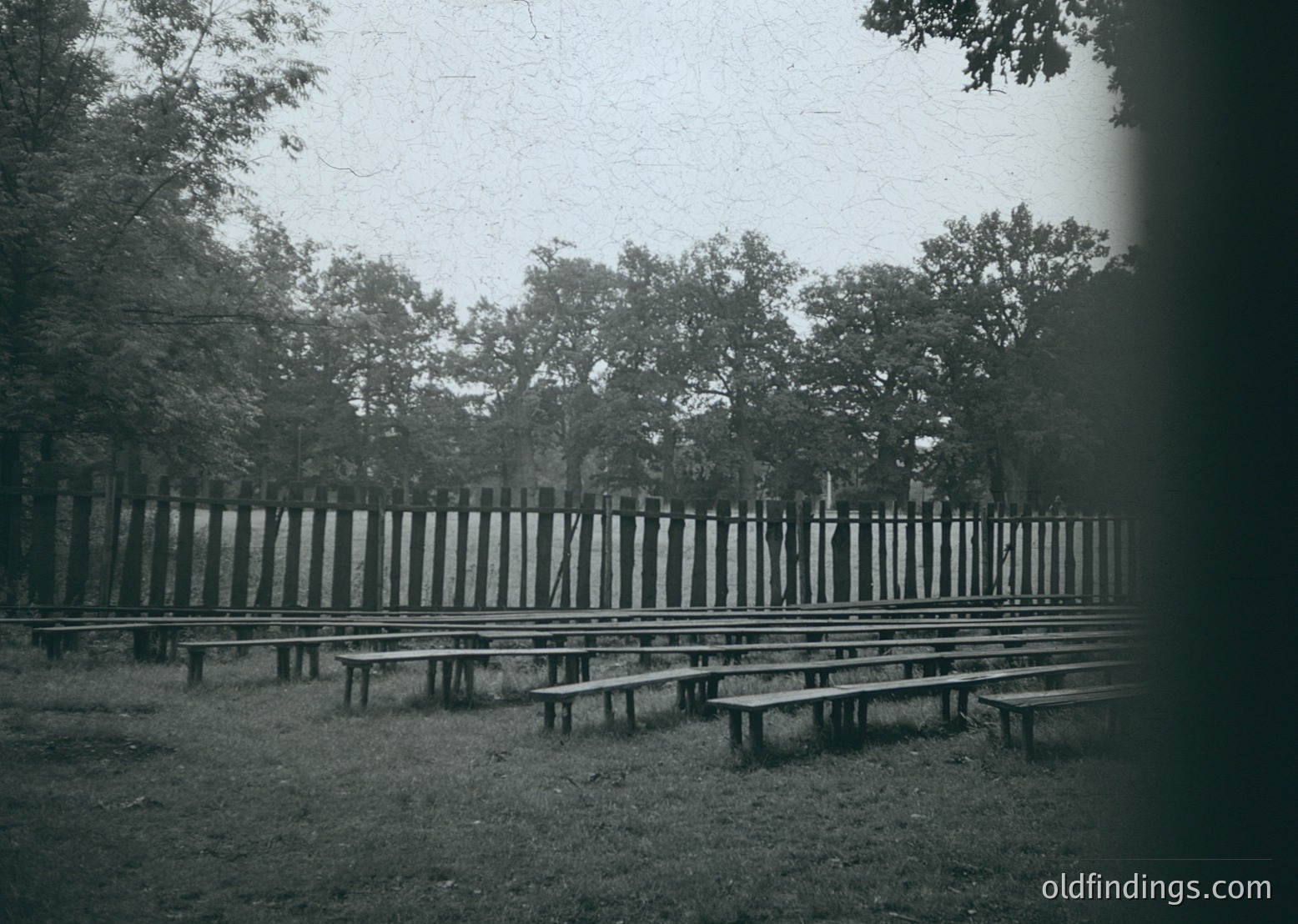 Vintage black-and-white shot of empty wooden benches arranged in rows within a fenced park area, framed by dense tree foliage. Likely mid-20th century outdoor seating for public gatherings or events.