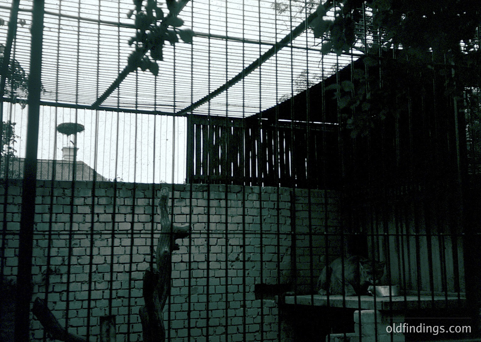 Mid-century concrete zoo enclosure with glass roof, featuring a large primate perched on a ledge. Brutalist architecture with exposed brickwork and metal bars. Likely 1960s–1970s design.
