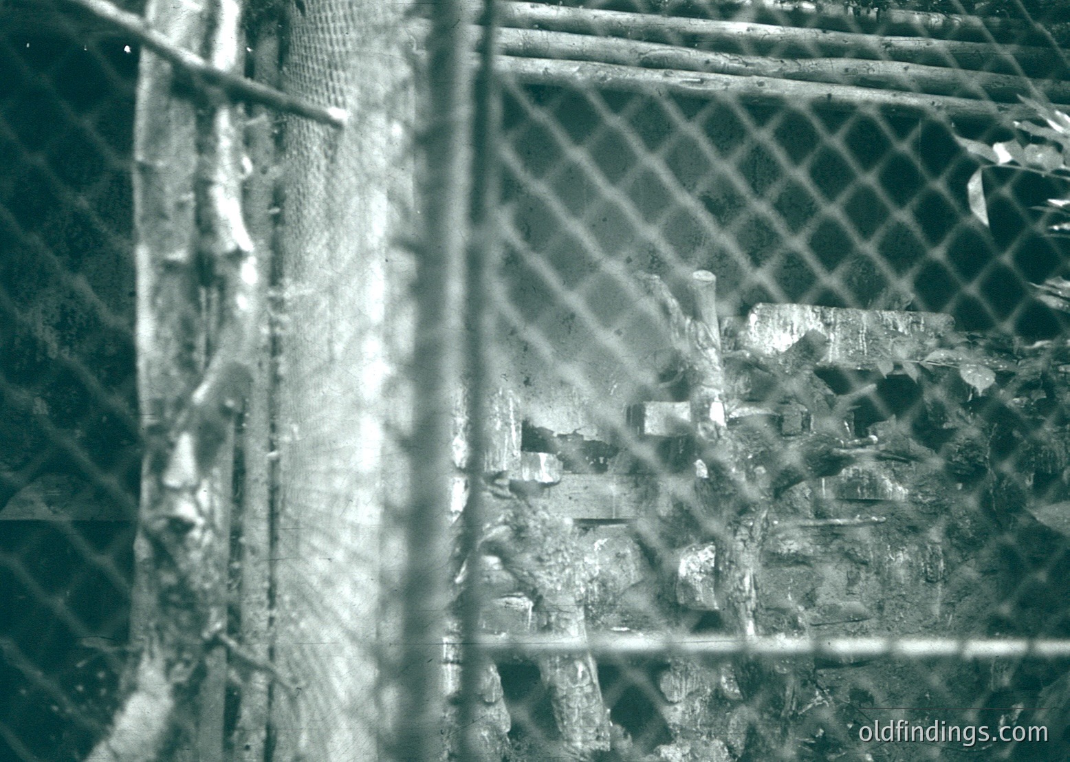 Close-up of rusted chain-link fence with distorted urban background. Industrial texture and weathered metal dominate. Likely 20th-century urban setting.