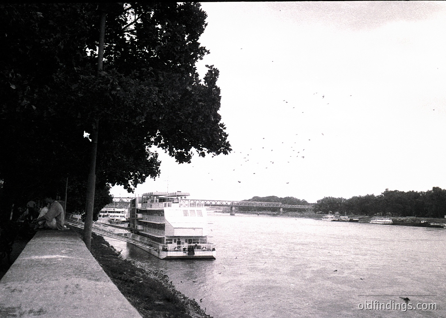 Black-and-white riverfront scene featuring a mid-20th century ferry crossing a wide waterway. Prominent bridge in background suggests urban infrastructure. Tree-lined promenade with a single person walking, hinting at midday activity. Vintage ferry design indicates possible mid-1900s European or Asian river transport. Ideal for historical transport or urban planning research.