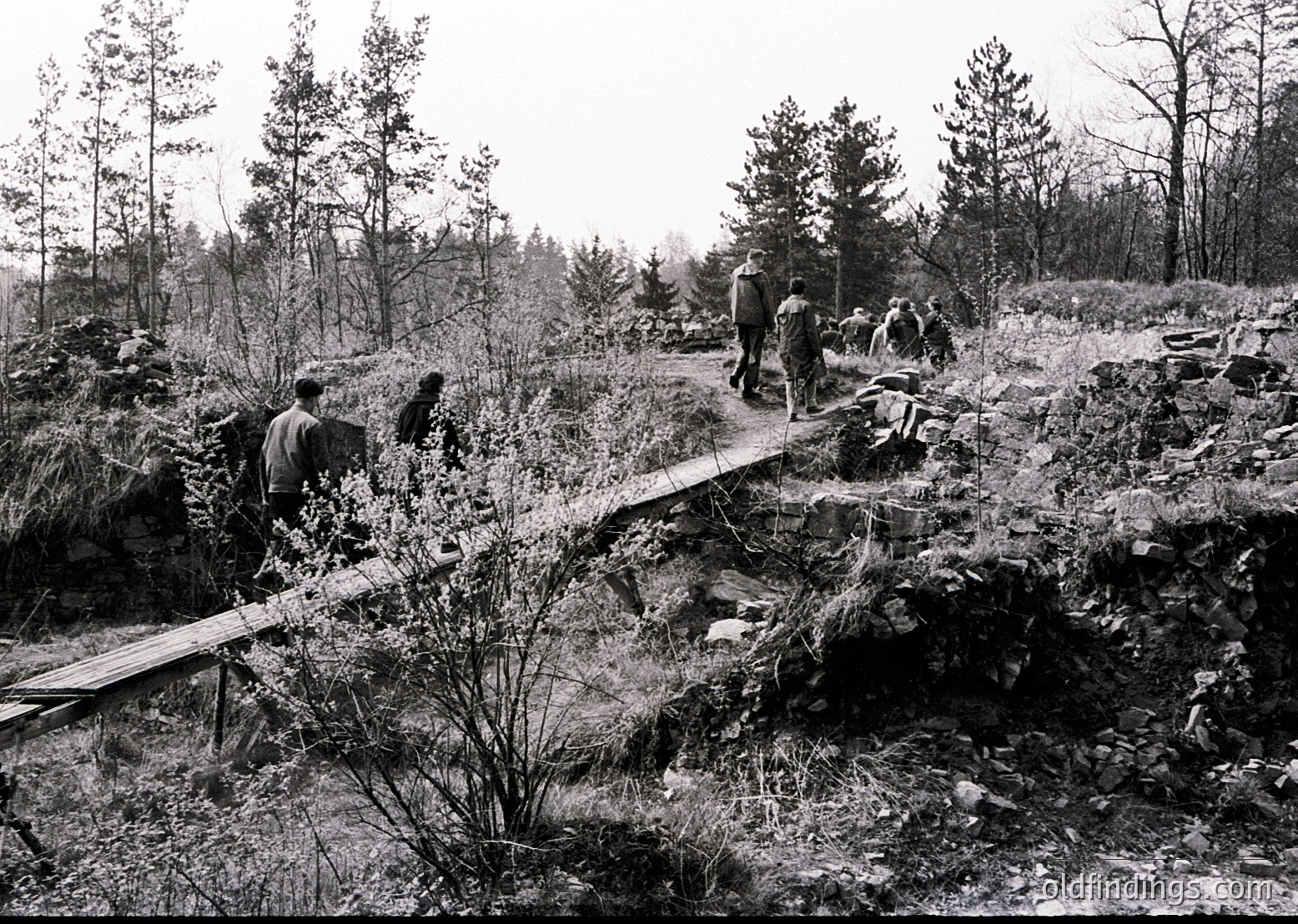 Group of men in military uniforms clearing a makeshift path through dense forest terrain, likely during WWII. Logs and branches form a rudimentary bridge over a ravine. Overgrown vegetation and rocky ground suggest rugged, undeveloped landscape.