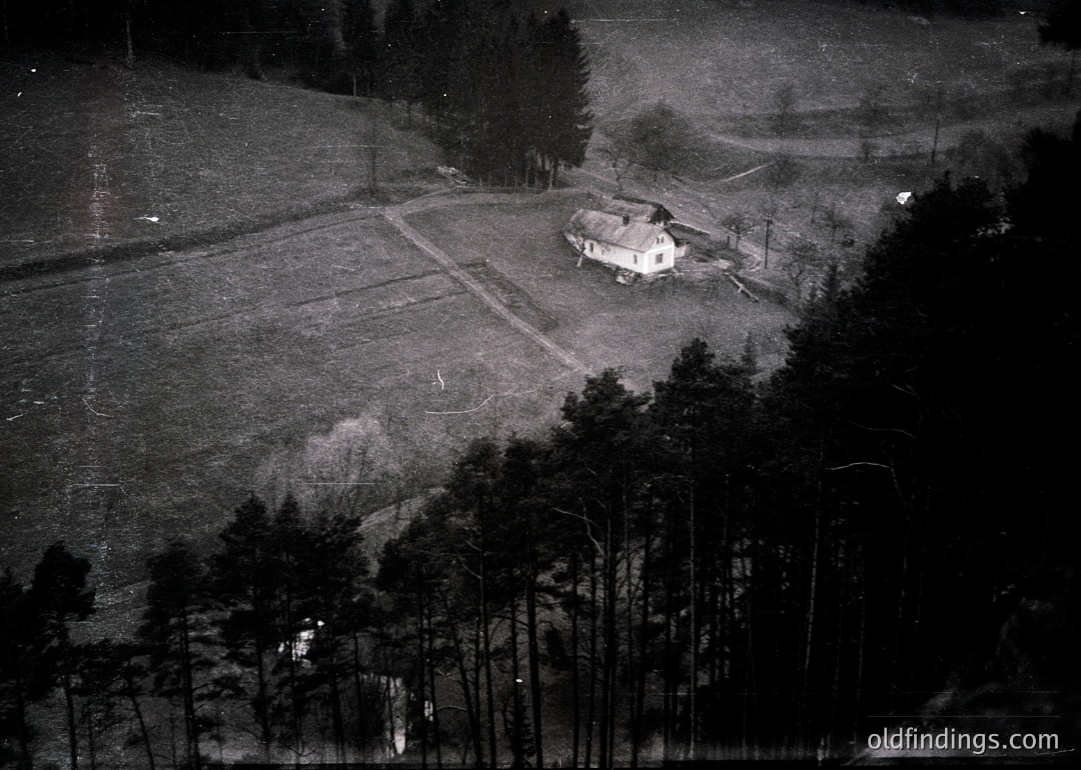 Aerial black-and-white photo of a rural homestead surrounded by dense forest. Single-story wooden house with a small yard, adjacent to a cleared field and scattered trees. Mid-20th century agricultural landscape, likely Eastern Europe.