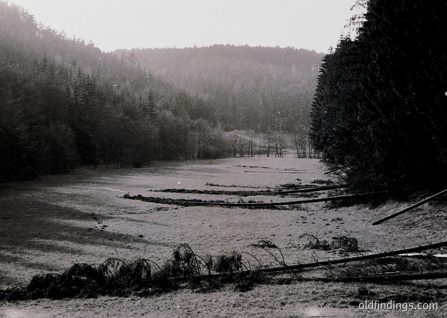 Black-and-white landscape showing a snow-covered rural road flanked by leafless trees and dense forest. Light mist obscures distant treeline, suggesting early 20th-century winter.