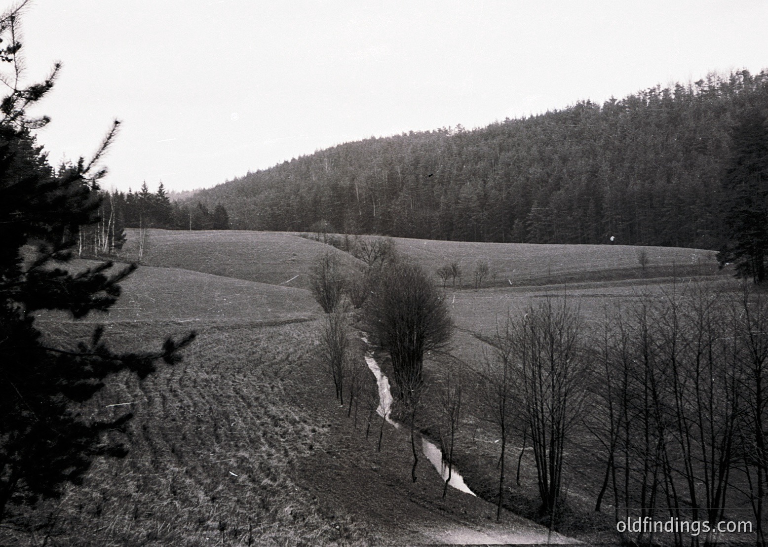 Rural landscape featuring rolling hills, sparse trees, and a winding dirt path. Black-and-white vintage photograph likely from early-to-mid 20th century.