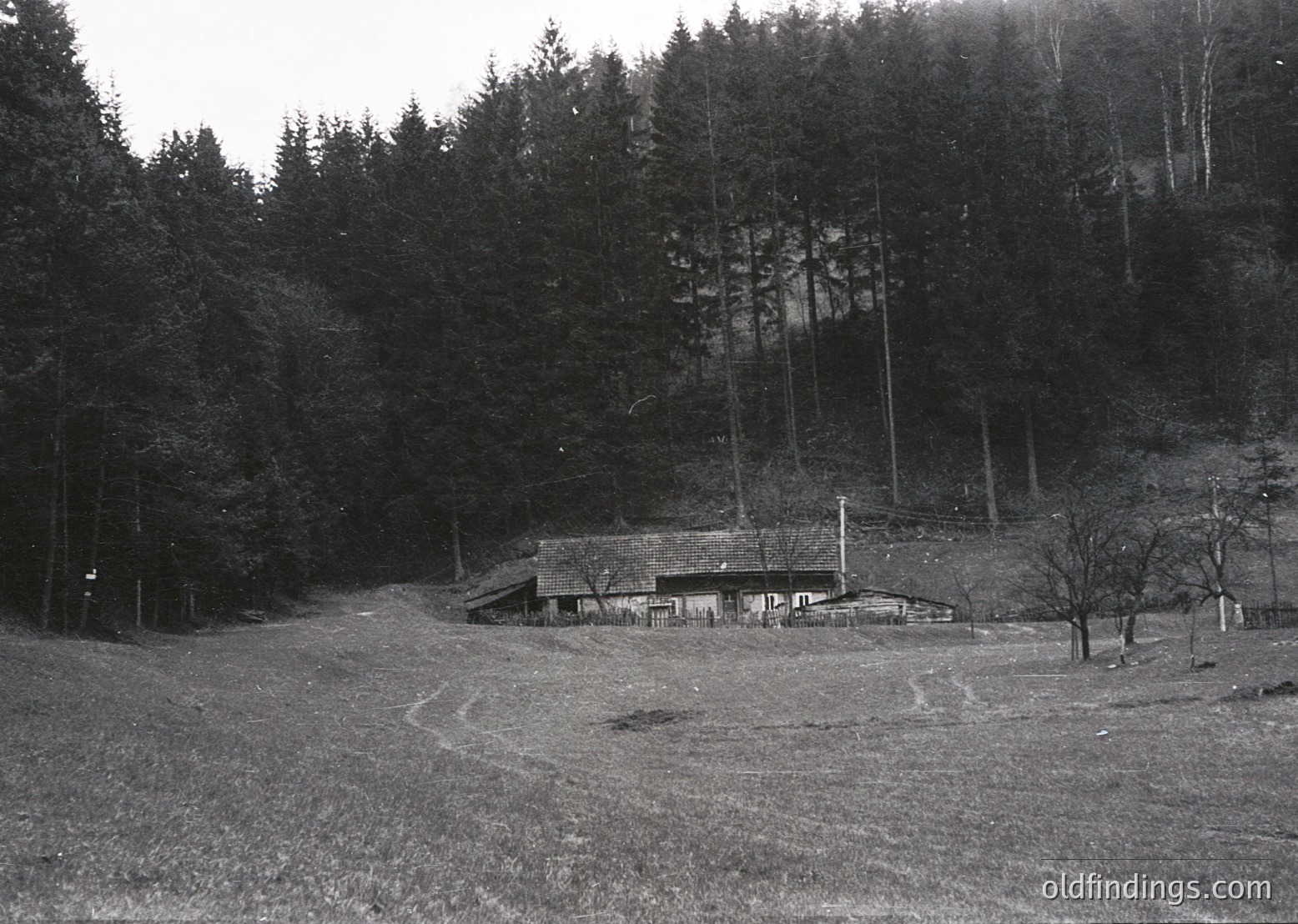Black-and-white rural scene featuring a modest stone building with a pitched roof, surrounded by a fenced area. Dense forest of tall evergreens dominates the background on a sloped hillside. Open grassy field in foreground suggests agricultural use. Likely mid-20th century European countryside.