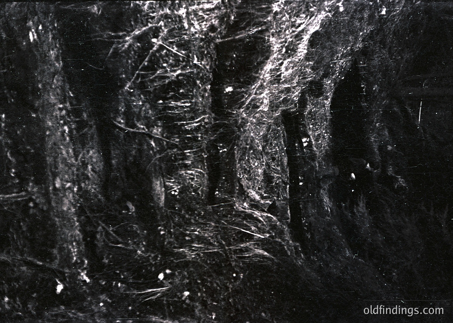 High-contrast black-and-white close-up of a **textured wall** with **cracked plaster** and **exposed brickwork**. The intricate network of fissures suggests **aging architecture**, possibly from a **19th–20th century** building. Ideal for **historical research** or **moody design references**.