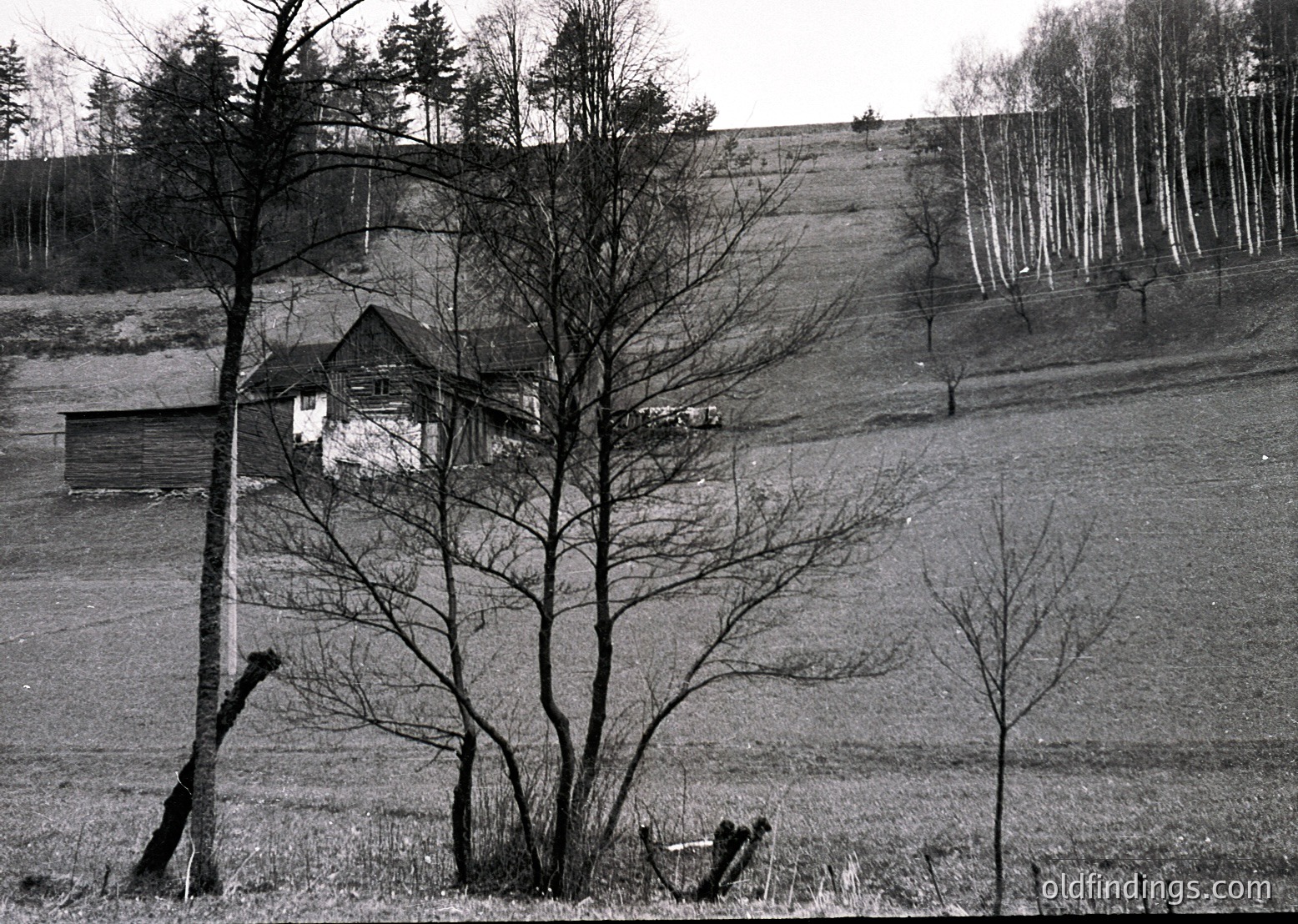 Rural landscape featuring a modest wooden house nestled in a gently sloping field. Bare trees frame the scene, suggesting late winter or early spring. A small shed and a lone vehicle near the house indicate agricultural use. The horizon reveals a forested ridge, adding depth to the pastoral setting.