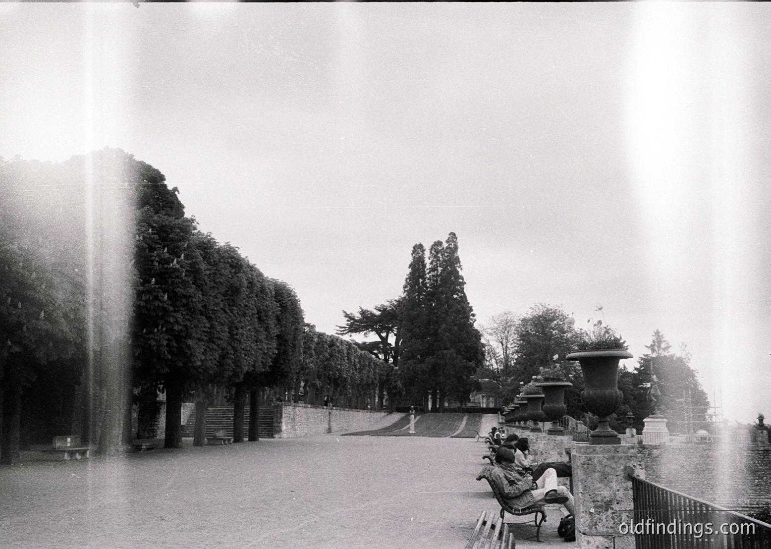Black-and-white shot of a grand park avenue lined with symmetrical trees and classical urn planters. A lone figure sits on a bench near a wrought-iron fence, framed by a vertical light flare. Likely mid-20th century European urban park design.